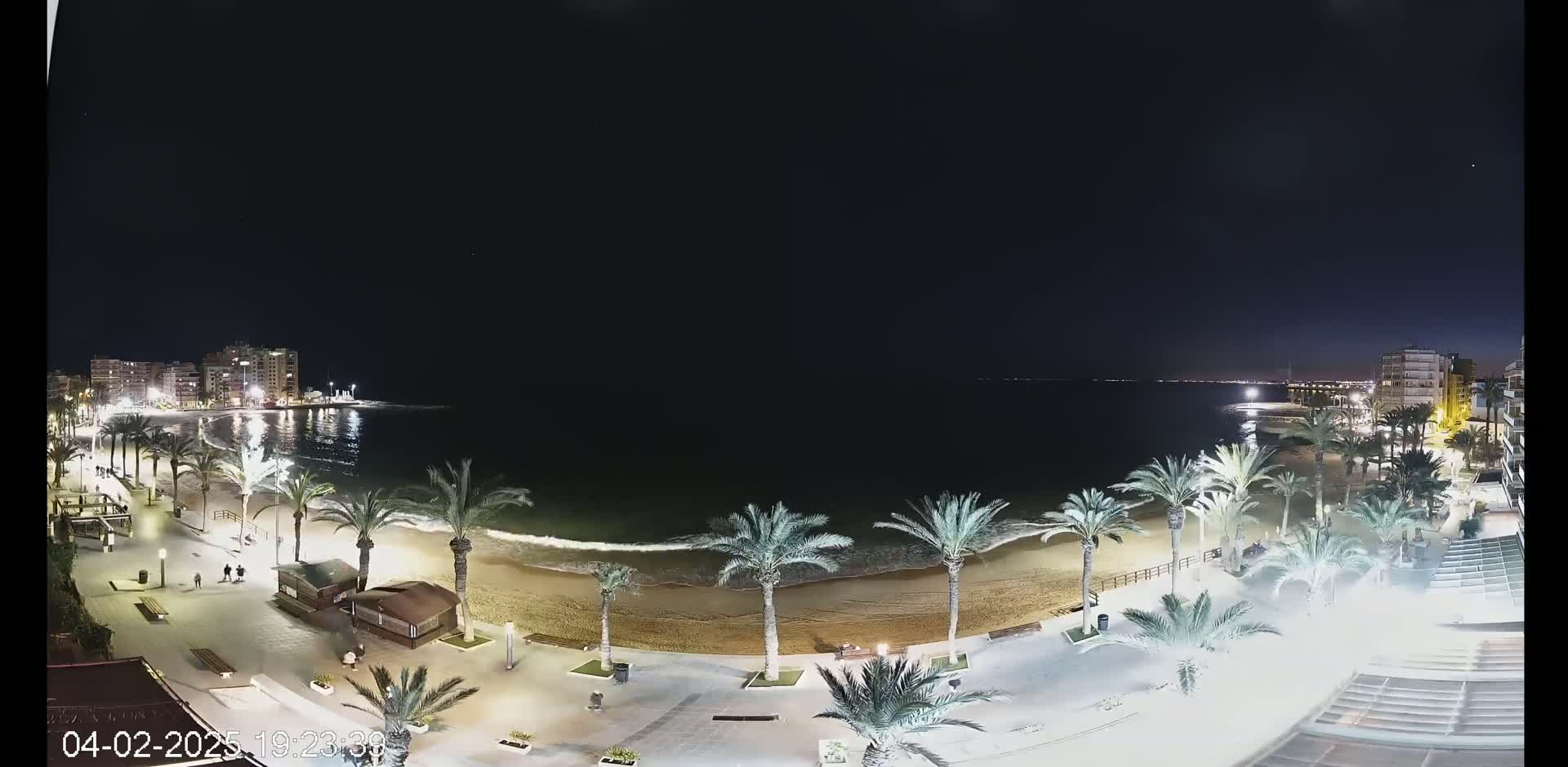 A nighttime view of a beach with palm trees lining a paved walkway, buildings visible in the distance under a clear, dark sky.