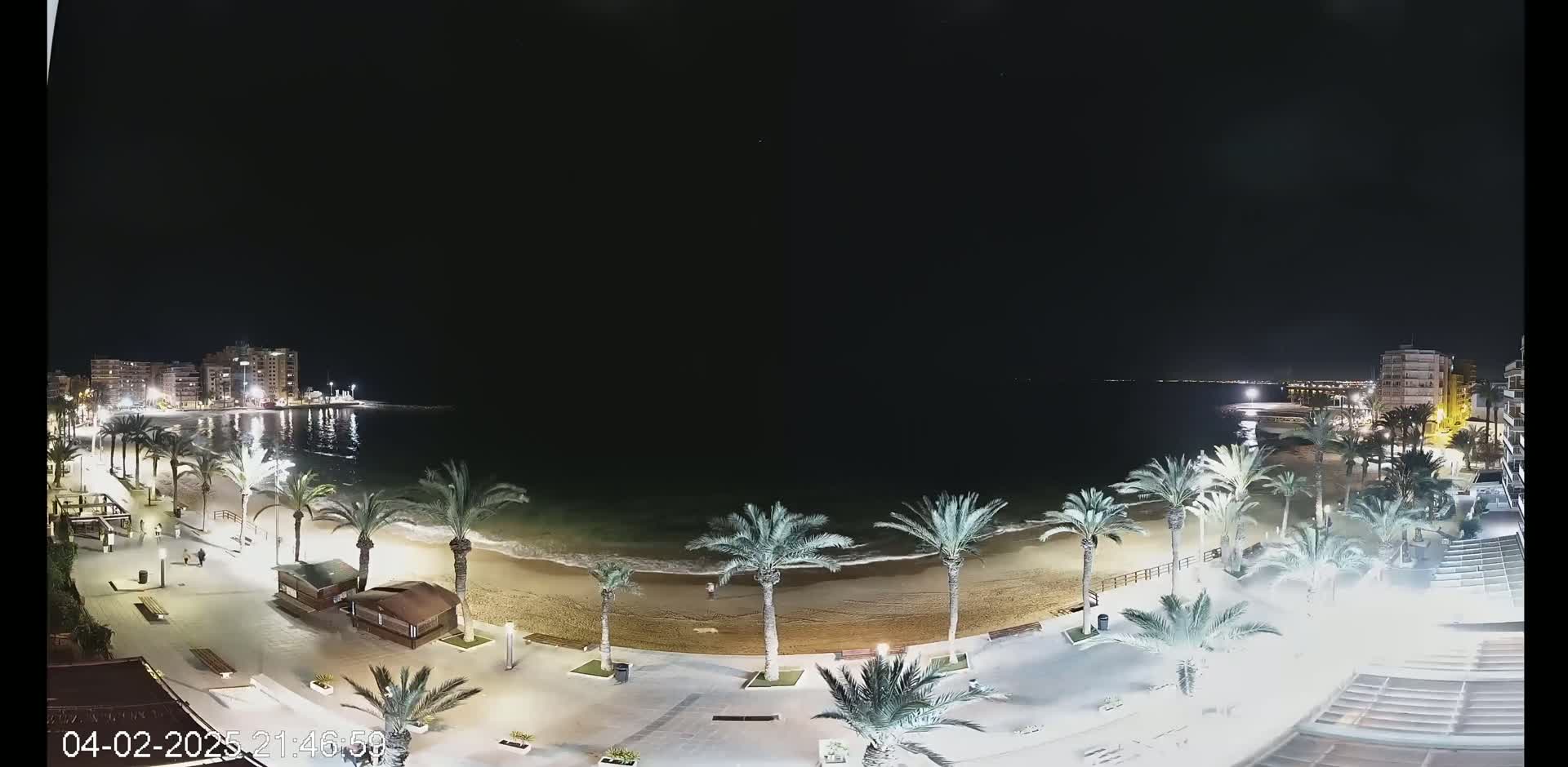 A nighttime view of a beach at low tide, lined with palm trees and illuminated by streetlights, with calm water and buildings visible in the distance under a clear, dark sky.