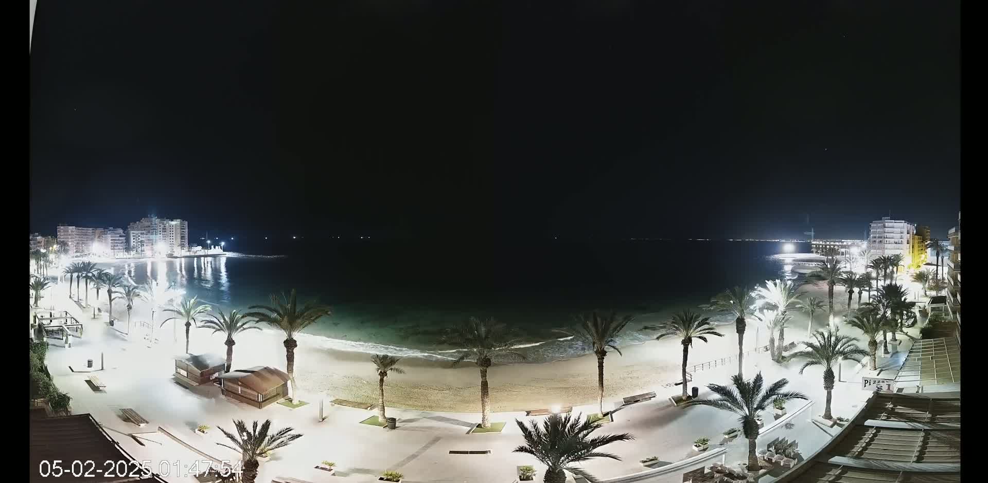 A nighttime view of a beach with palm trees lining a paved walkway, buildings in the background, and calm water under a dark sky.