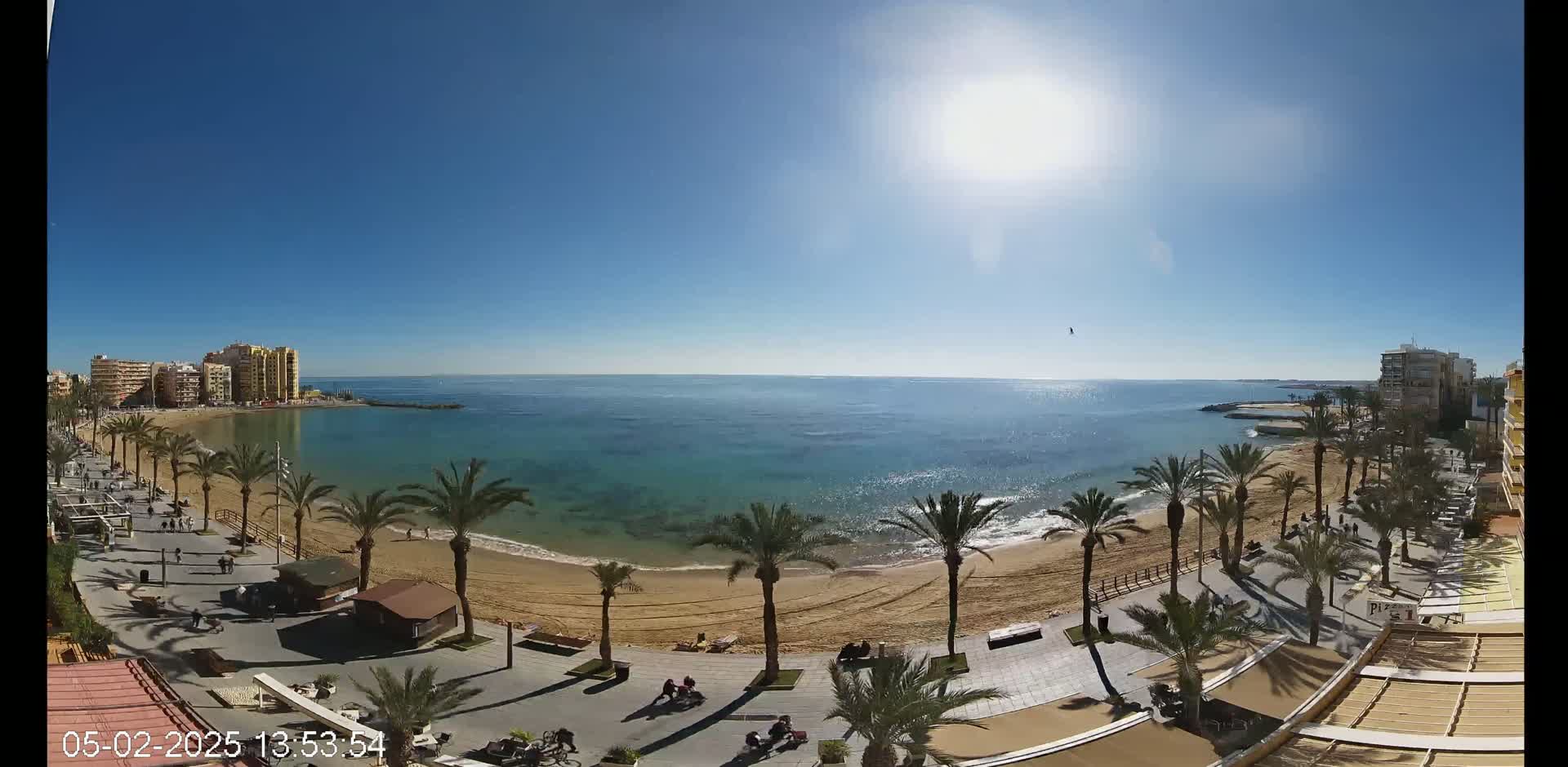 A sunny day at a beach with palm trees lining a paved walkway, buildings in the background, and calm turquoise water.