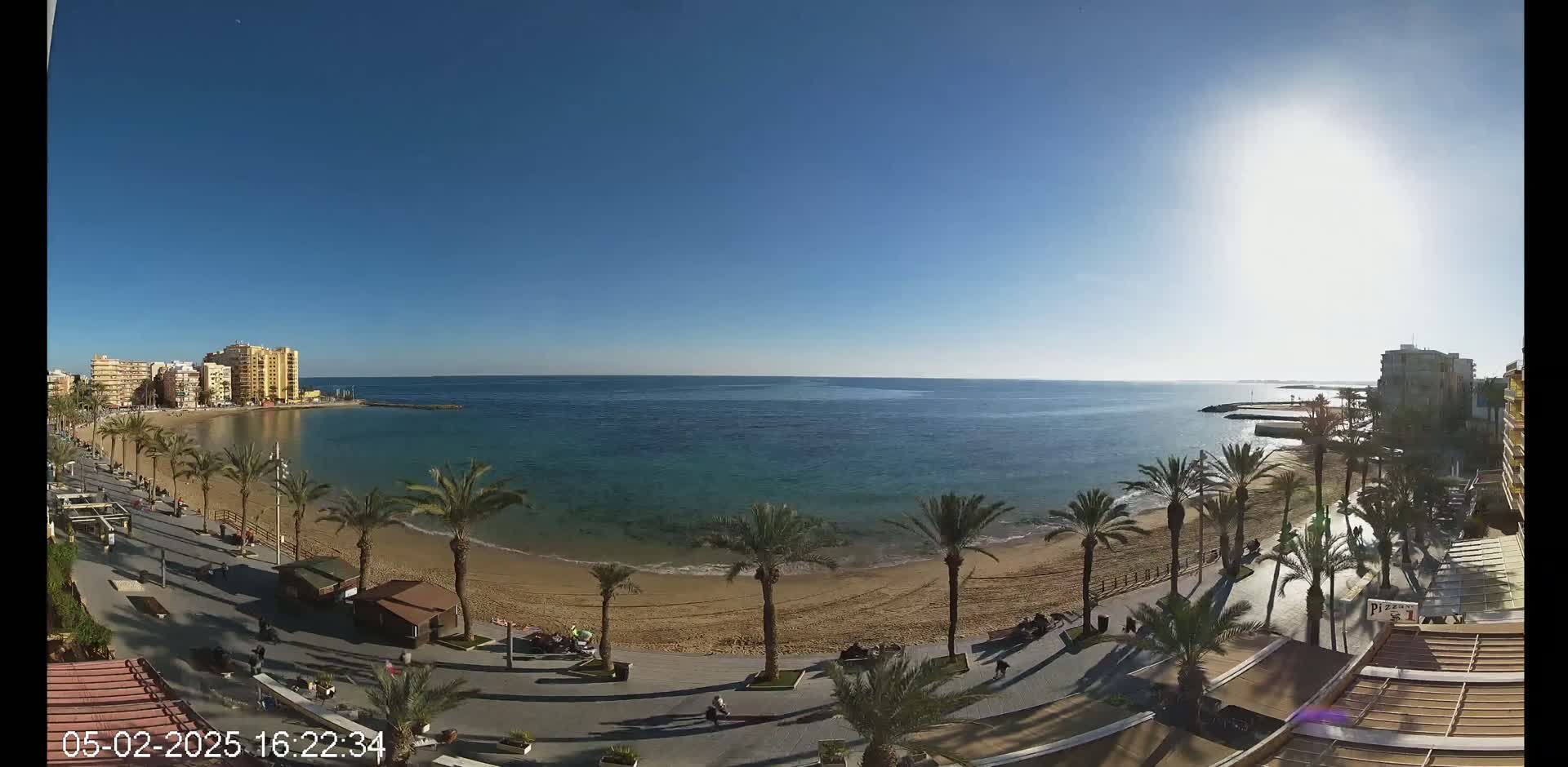 A sunny day at a beachside promenade shows a sandy beach lined with palm trees, buildings in the distance, and calm ocean water.