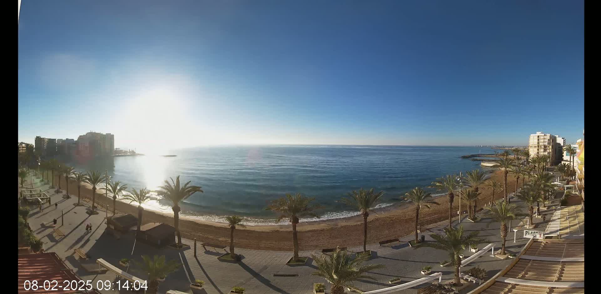 A sunny day shows a beach with palm trees lining a promenade next to a calm ocean, with buildings visible in the distance.