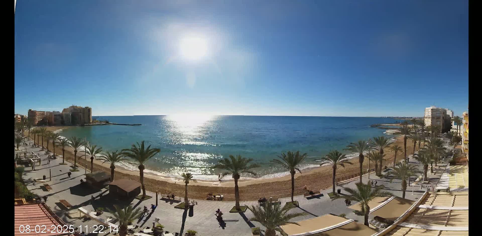 A sunny day at a beach with palm trees lining a paved walkway beside the sand, buildings visible in the distance.