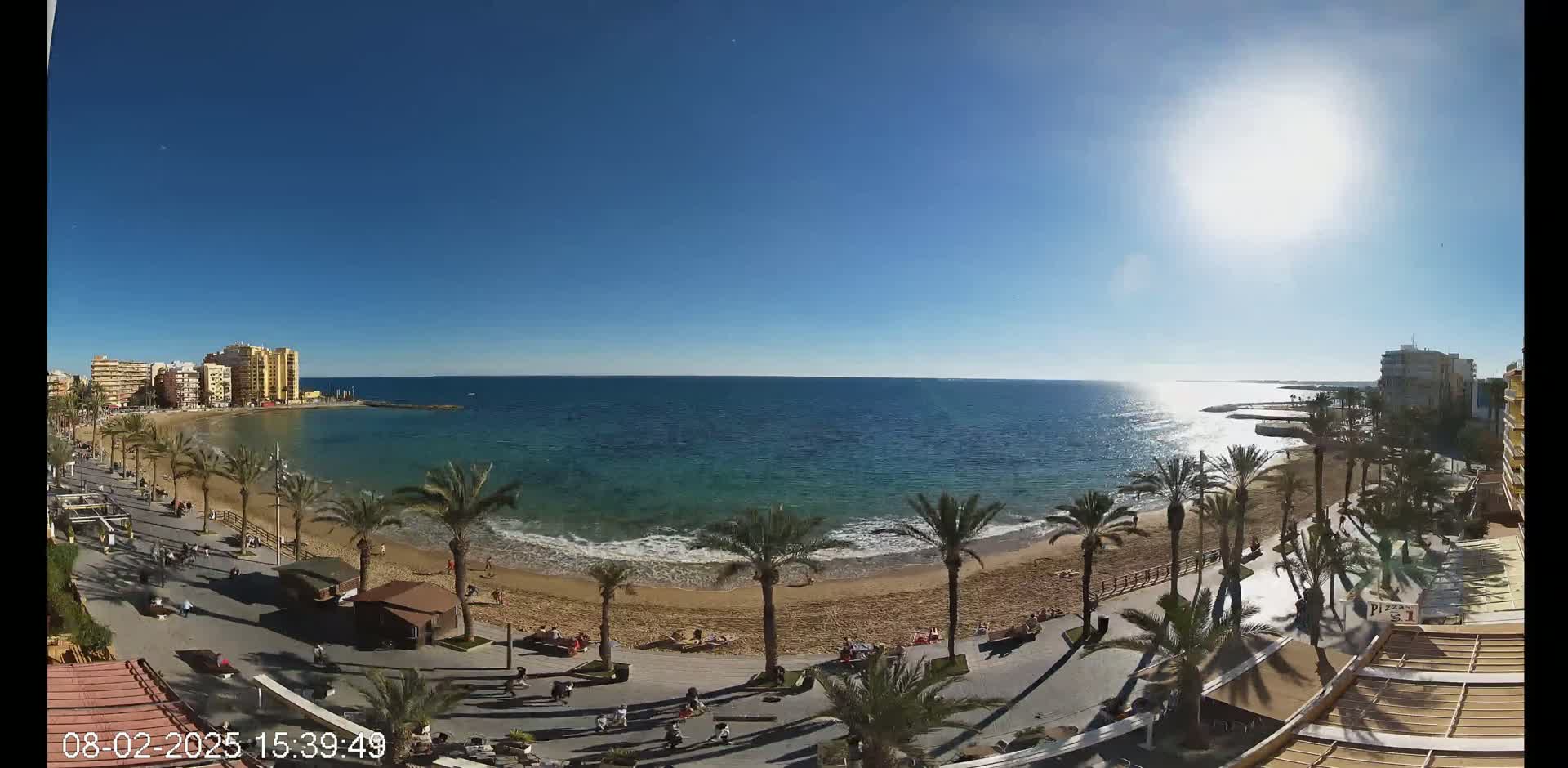 A sunny day at a beach with palm trees lining a promenade, featuring calm ocean waters and buildings in the background.
