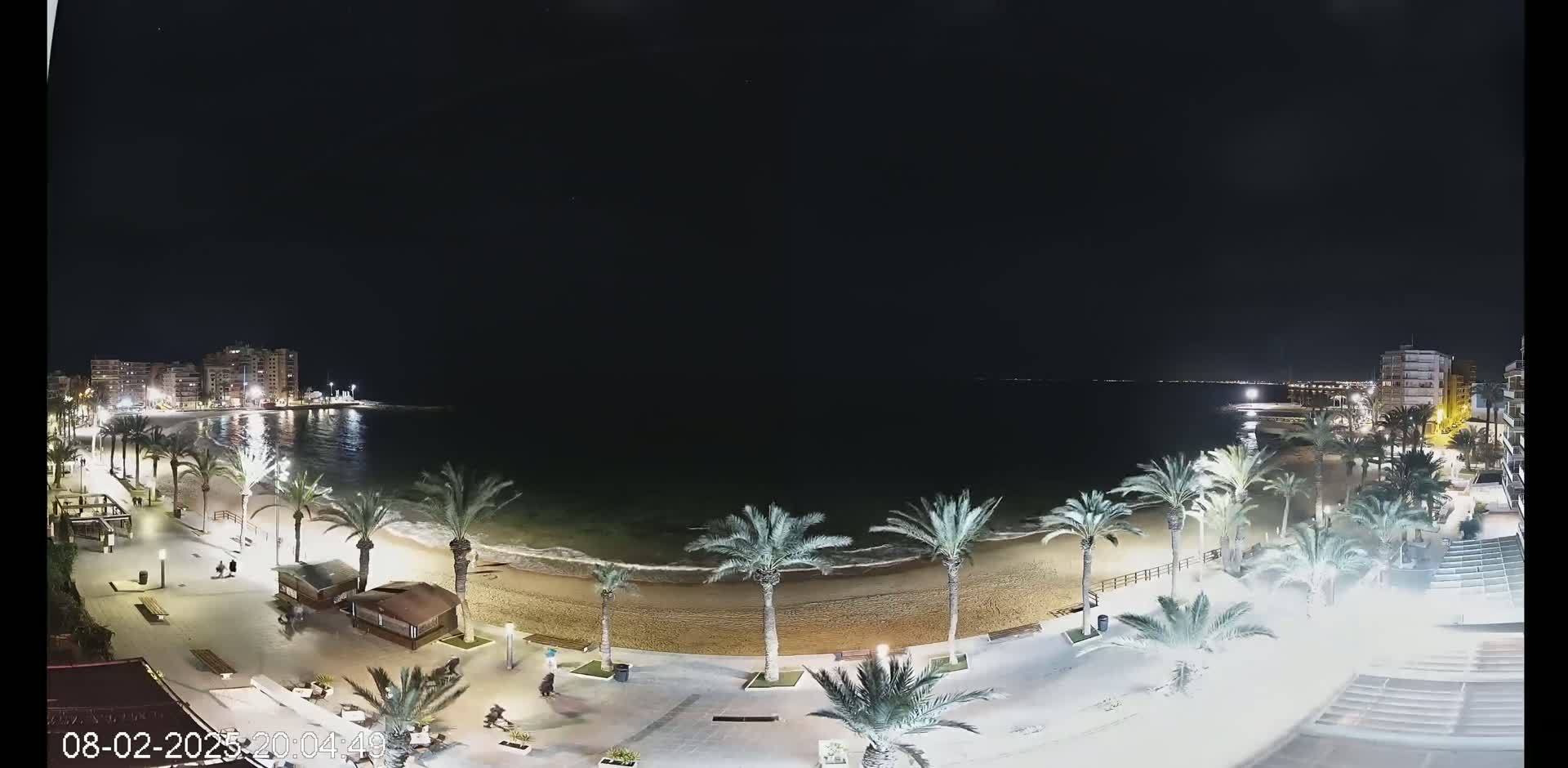 A nighttime view of a sandy beach lined with palm trees, buildings, and lights under a clear, dark sky.