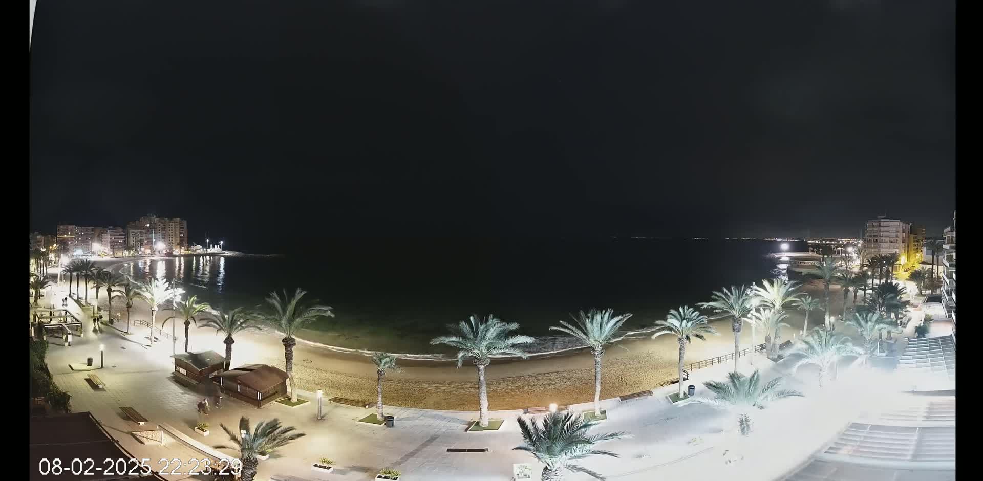 A nighttime view of a beach with palm trees lining a paved walkway, buildings visible in the distance under a dark sky.