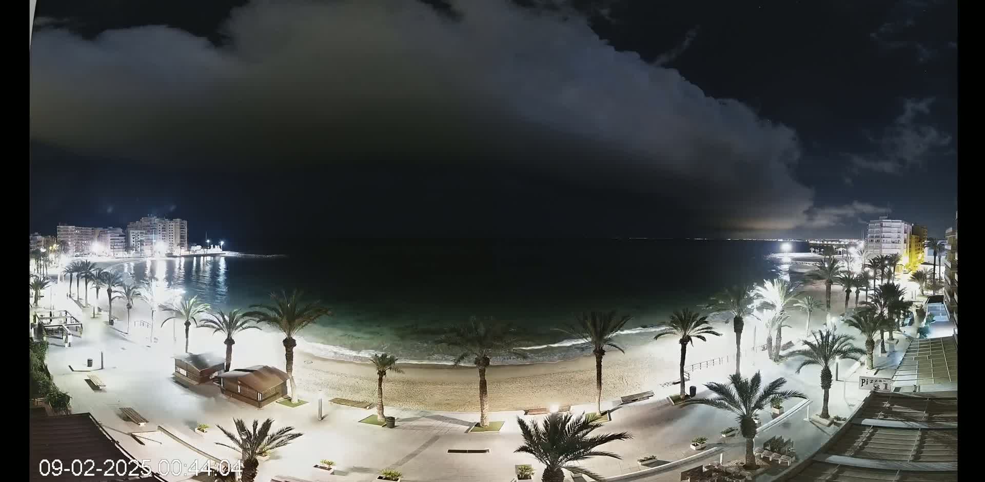 A nighttime view of a beach with palm trees lining a promenade, under a partly cloudy sky, with calm waves lapping the shore and buildings visible in the distance.