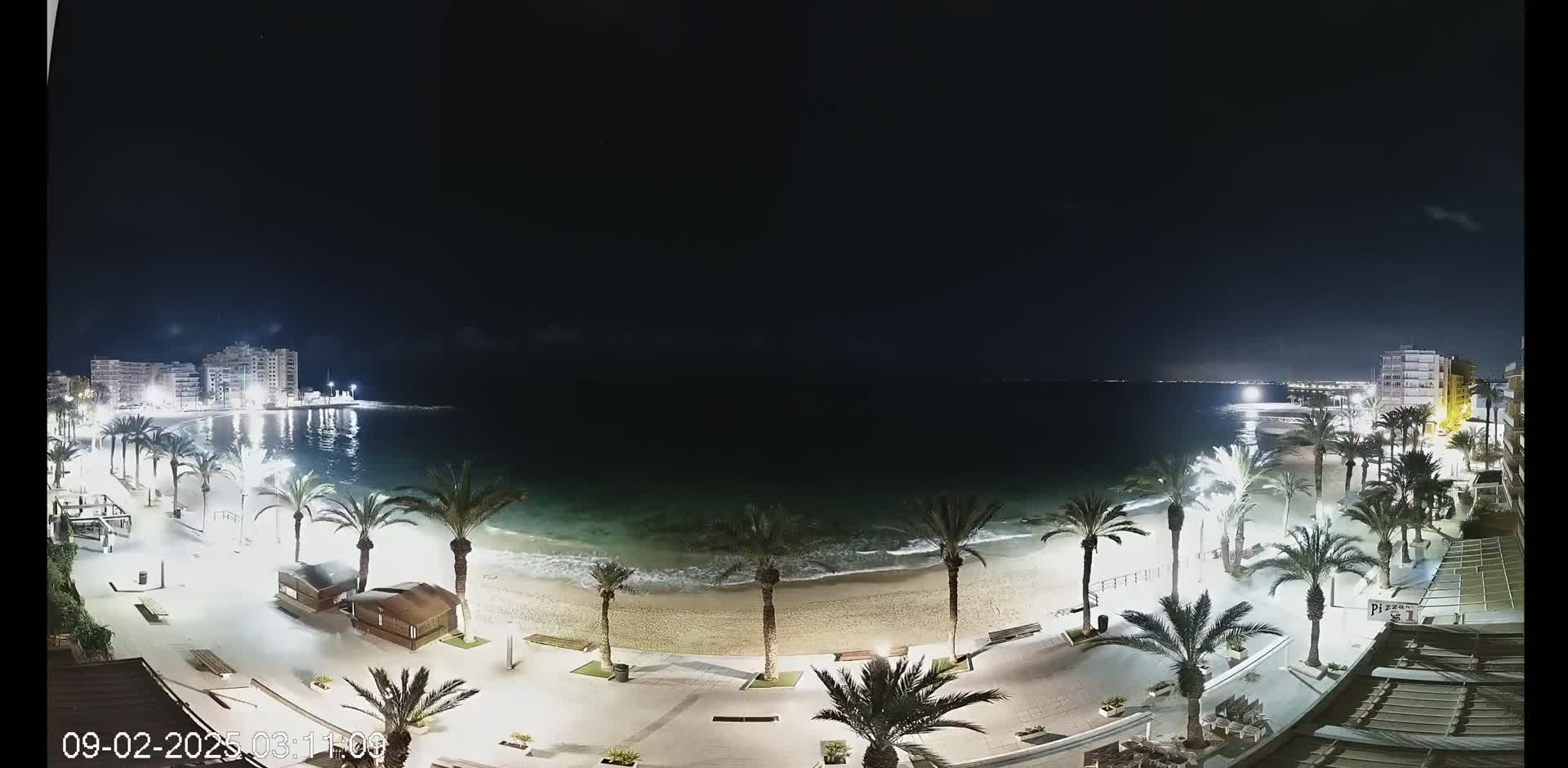A nighttime view of a beach at the edge of a town, palm trees lining the illuminated promenade, with calm waves lapping the shore under a dark sky.