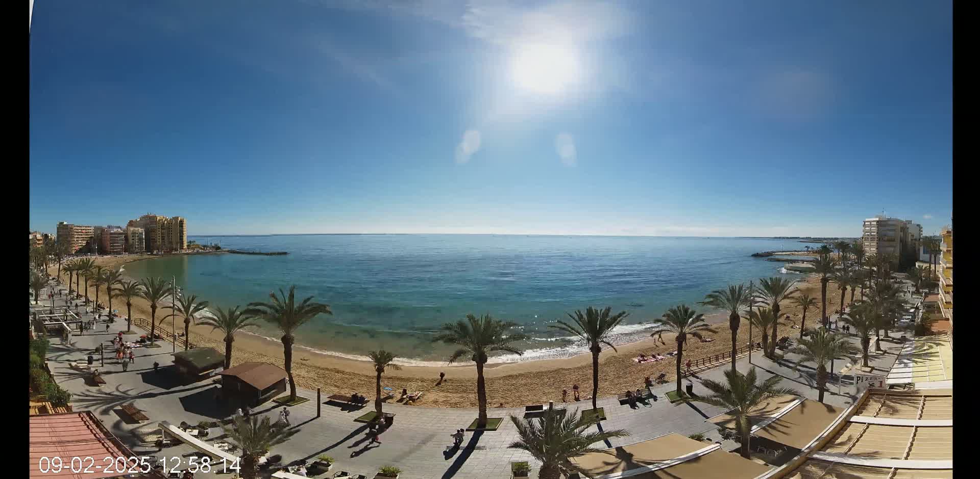 A sunny day on a sandy beach lined with palm trees, next to a calm blue sea and buildings in the background.
