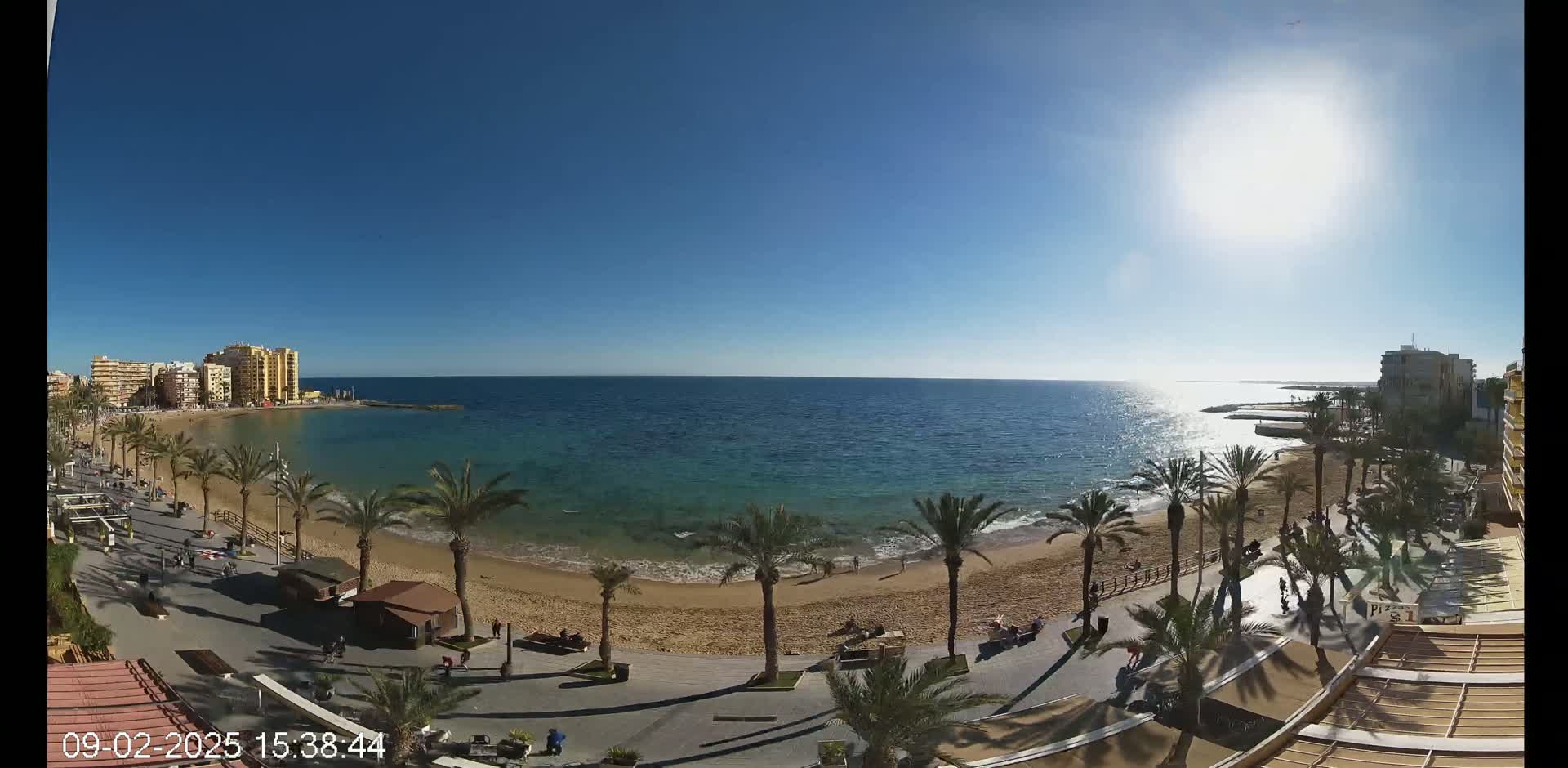 A sunny day shows a sandy beach with palm trees lining a boardwalk next to a calm ocean, with buildings visible in the distance.
