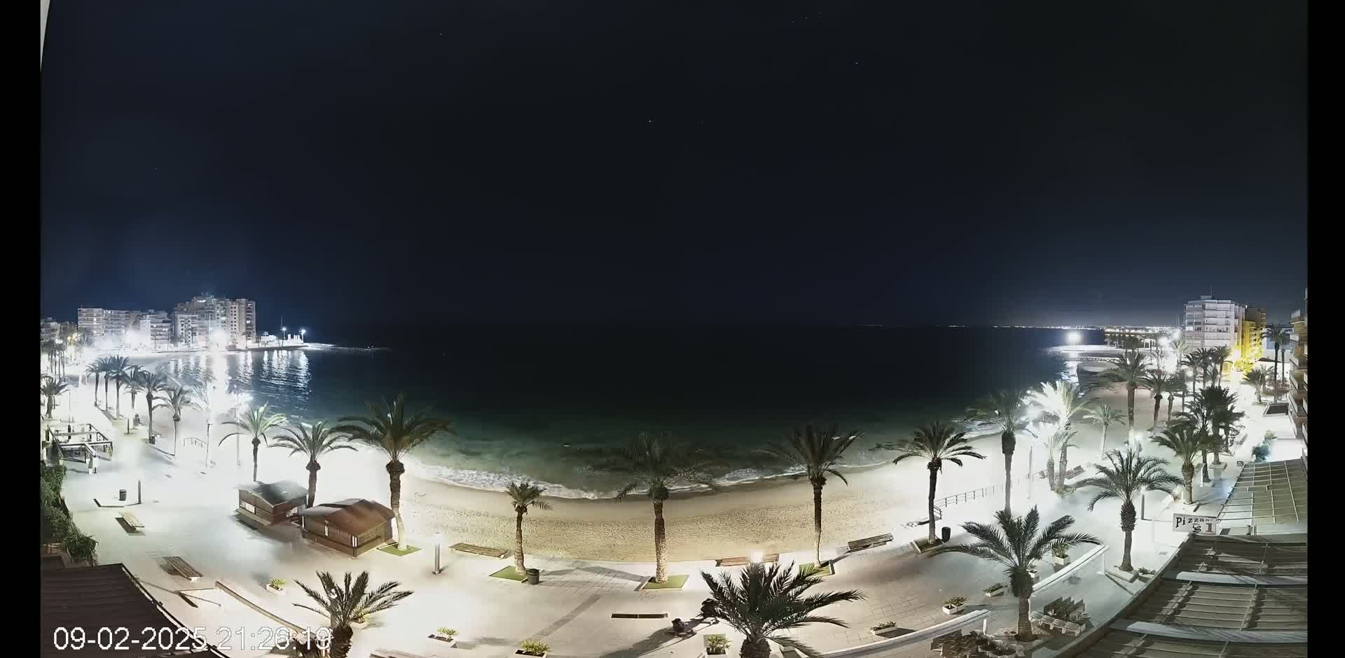 A night-time view of a sandy beach with palm trees lining a paved walkway, calm waves lapping the shore, and buildings illuminated in the distance under a clear, dark sky.