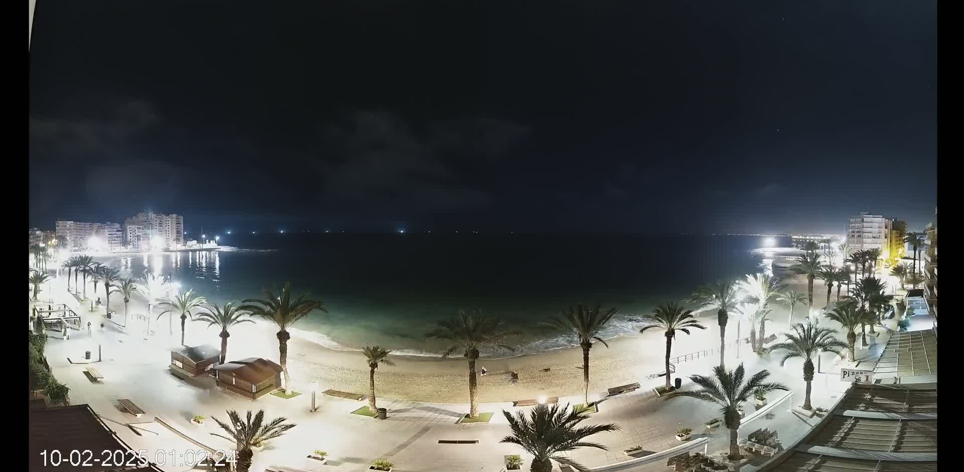 A nighttime view of a beach with palm trees lining a paved walkway, buildings in the background, and calm ocean waves lapping the shore under a dark, mostly clear sky.