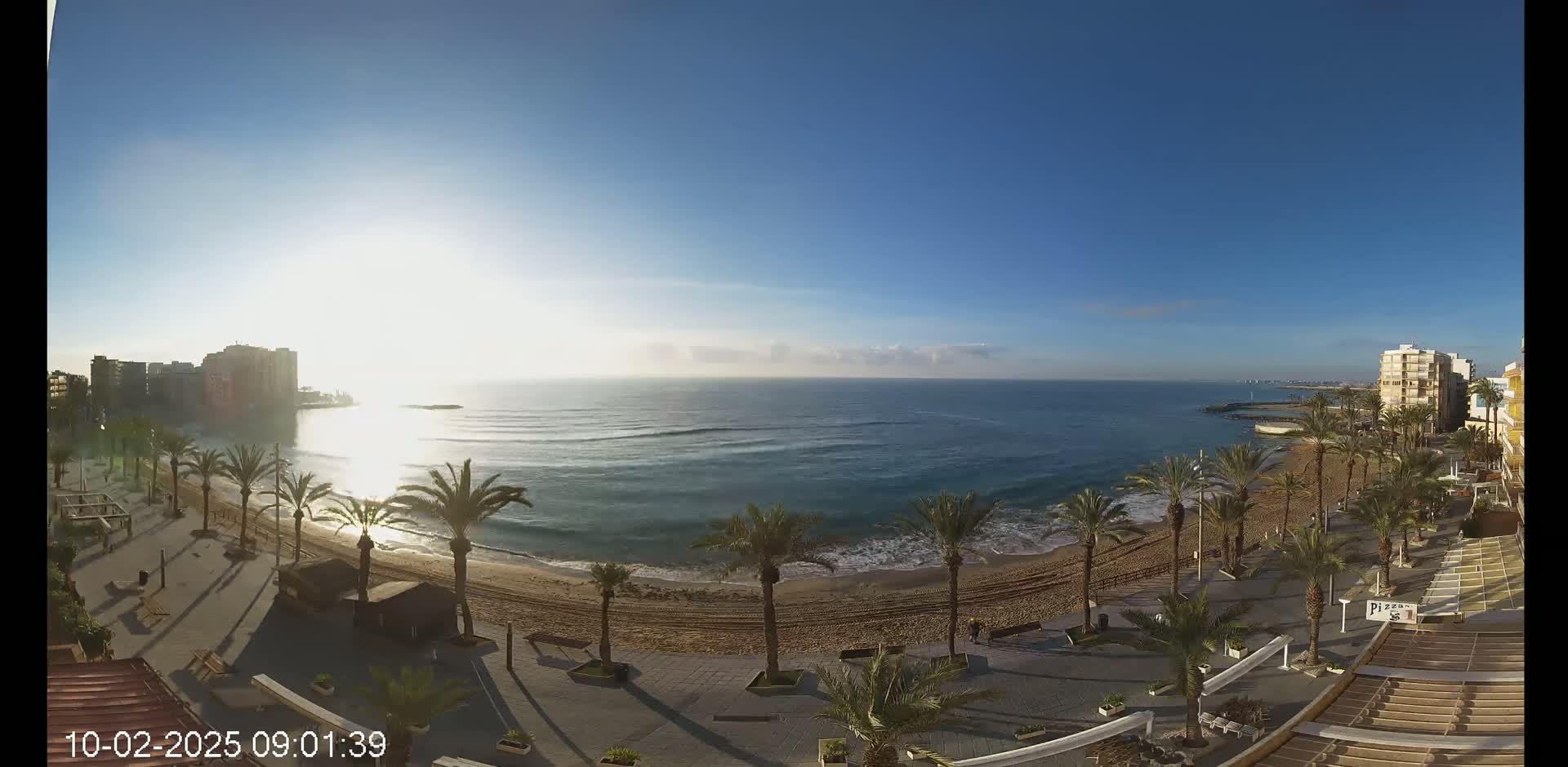 A sunny morning reveals a sandy beach lined with palm trees, a calm ocean, and buildings in the background.