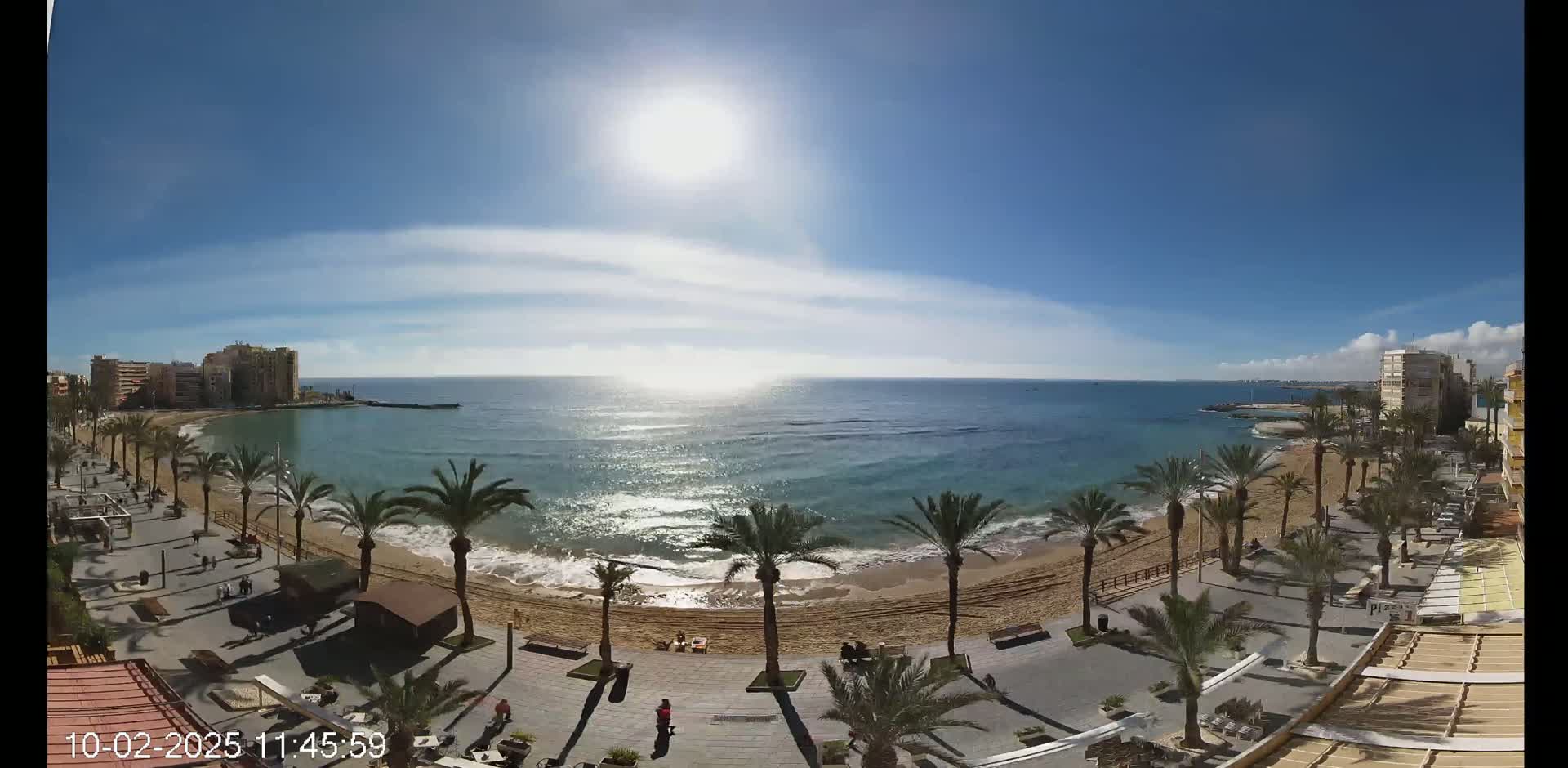 A sunny day at a sandy beach with palm trees lining a paved walkway, buildings in the background, and calm ocean waves.