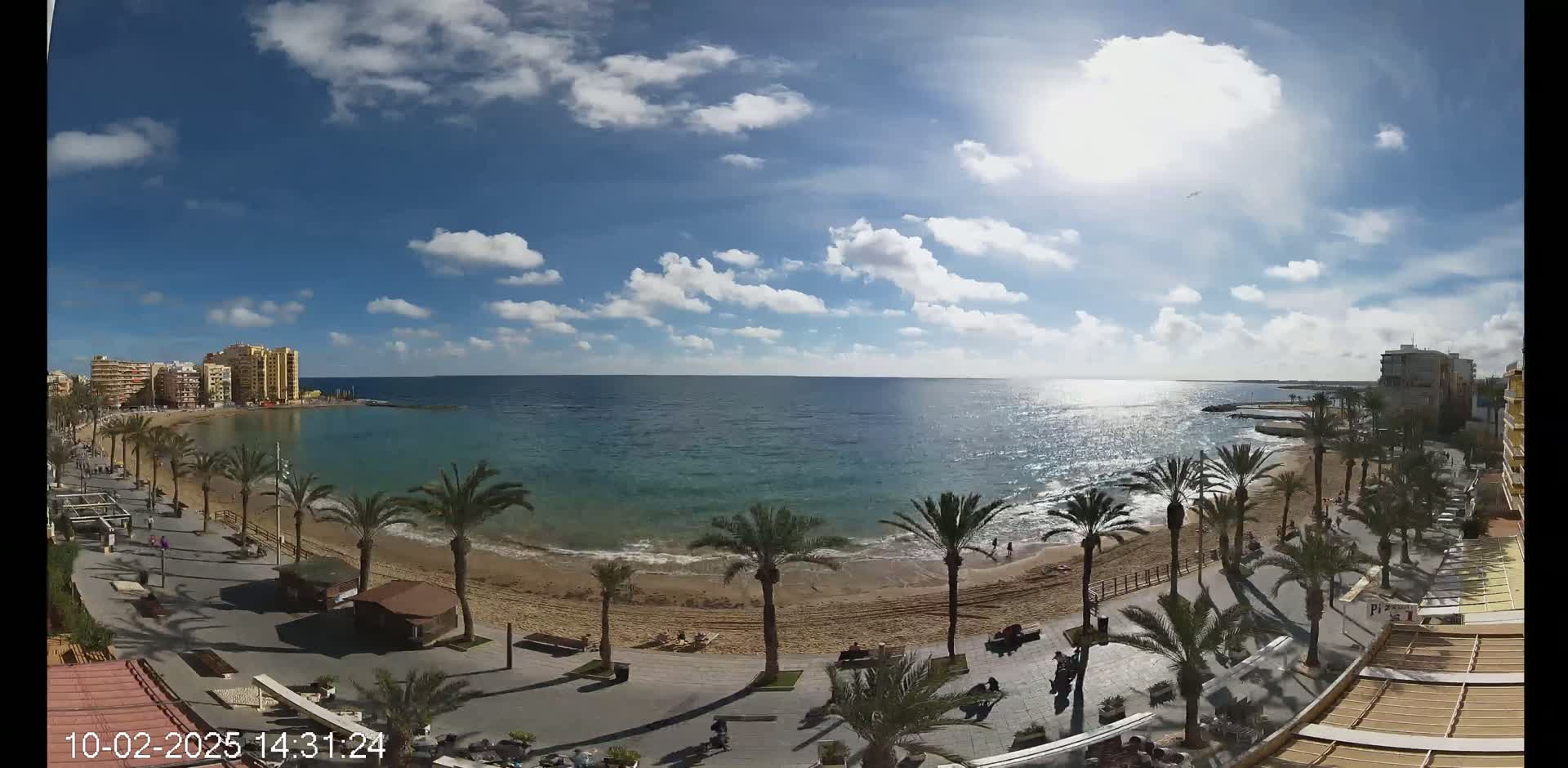 A sunny day shows a beach with palm trees lining a boardwalk next to a calm, teal ocean, with buildings visible in the distance.