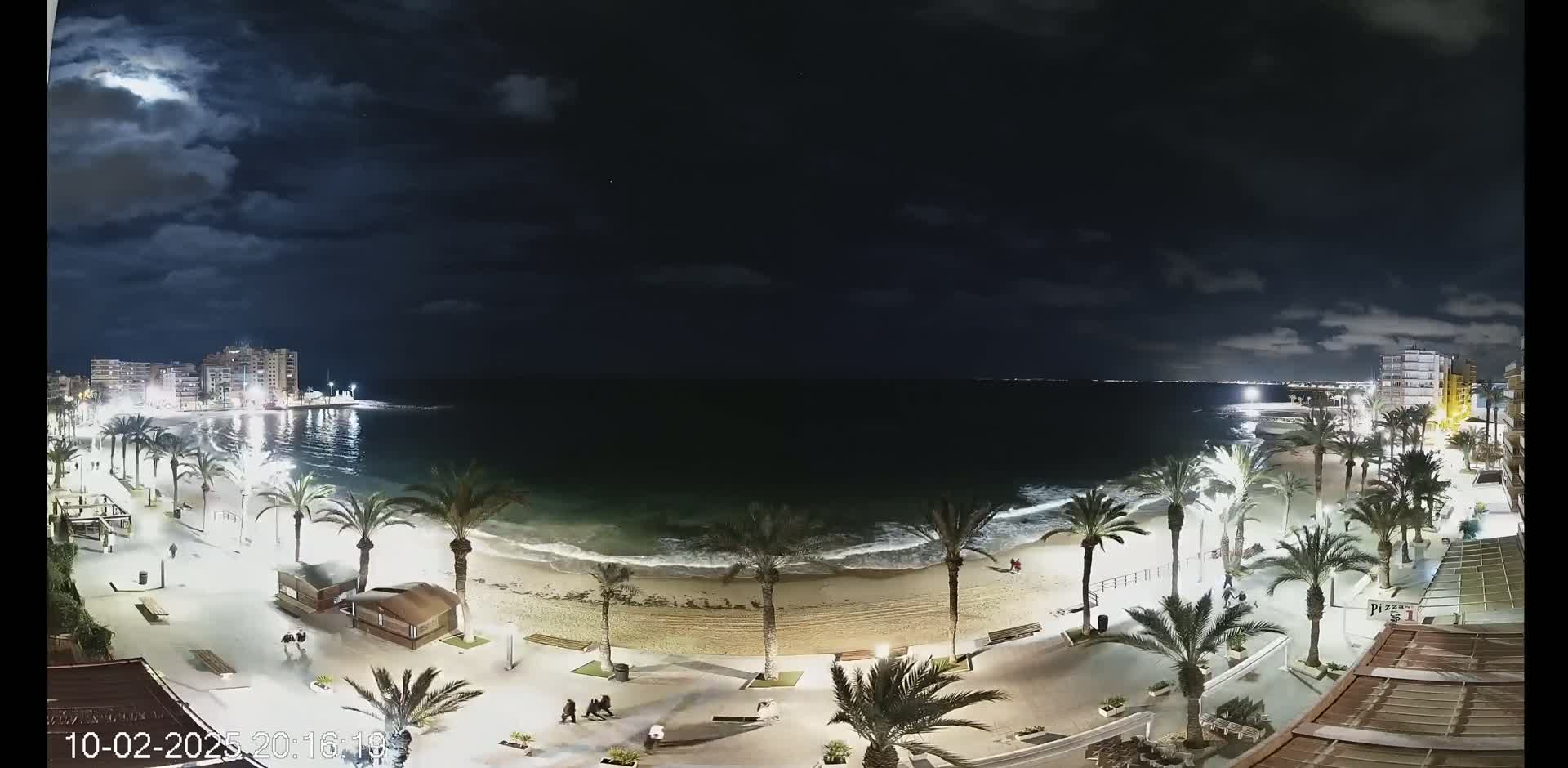 A nighttime view of a beach with palm trees lining the shore under a partly cloudy sky, showing gentle waves lapping the sand.