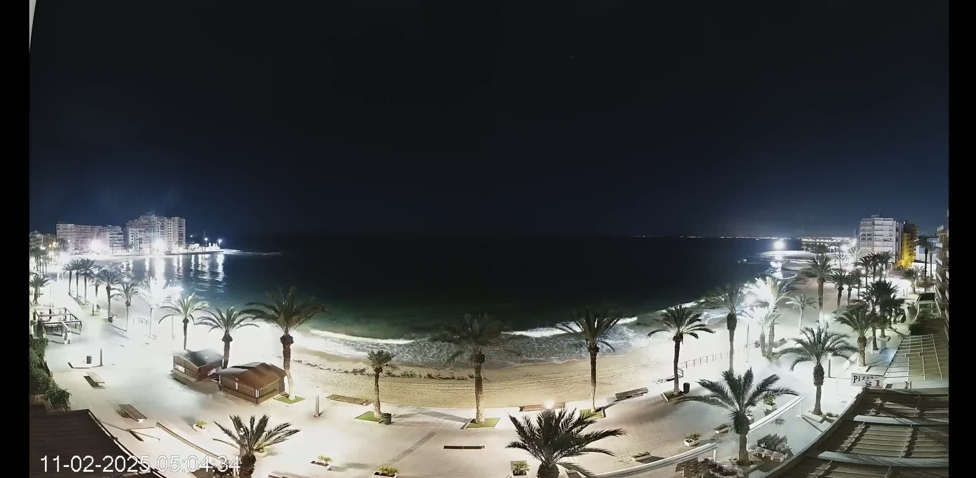 A nighttime view of a beach with palm trees lining a paved walkway, illuminated by lights, with gentle waves lapping the shore under a clear, dark sky.
