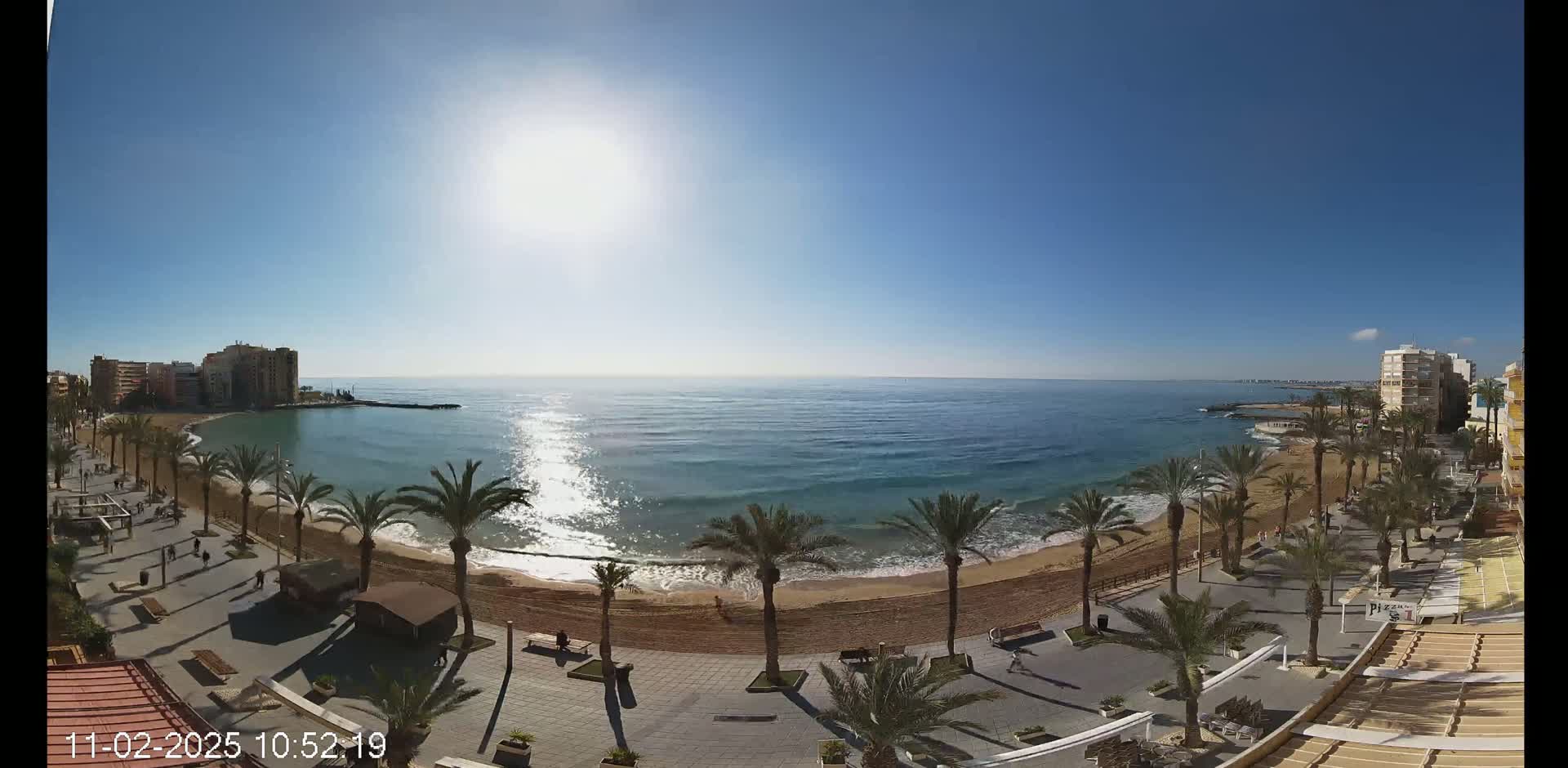 A sunny day shows a beach with palm trees lining a boardwalk next to a calm ocean with buildings in the background.