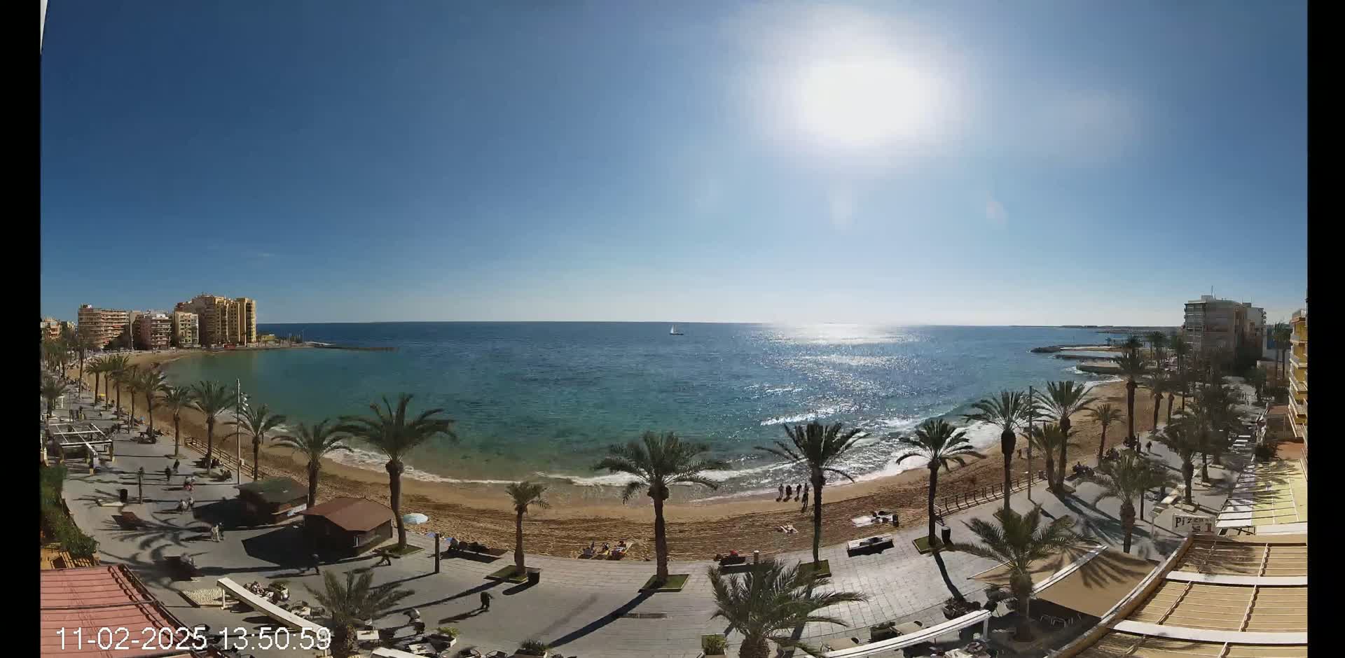 A sunny day at a beach with palm trees lining a paved walkway, buildings in the background, and calm ocean waters.