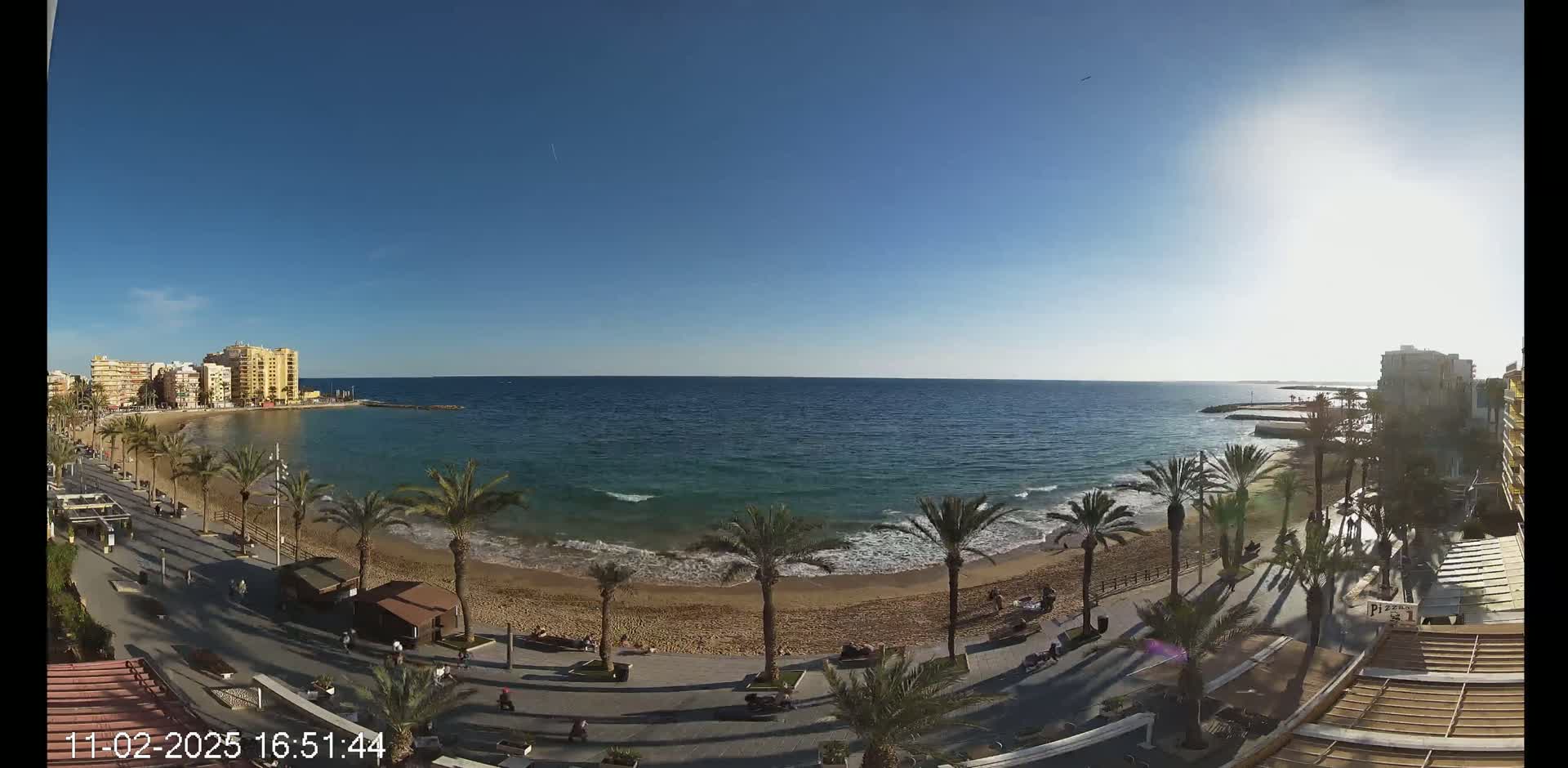A sunny day reveals a sandy beach lined with palm trees and bordered by buildings, with calm ocean waves lapping the shore.