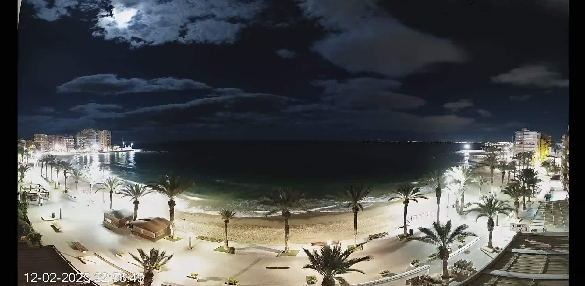 A moonlit night scene shows a beach with palm trees, light posts, and buildings along the shoreline, under a partly cloudy sky.