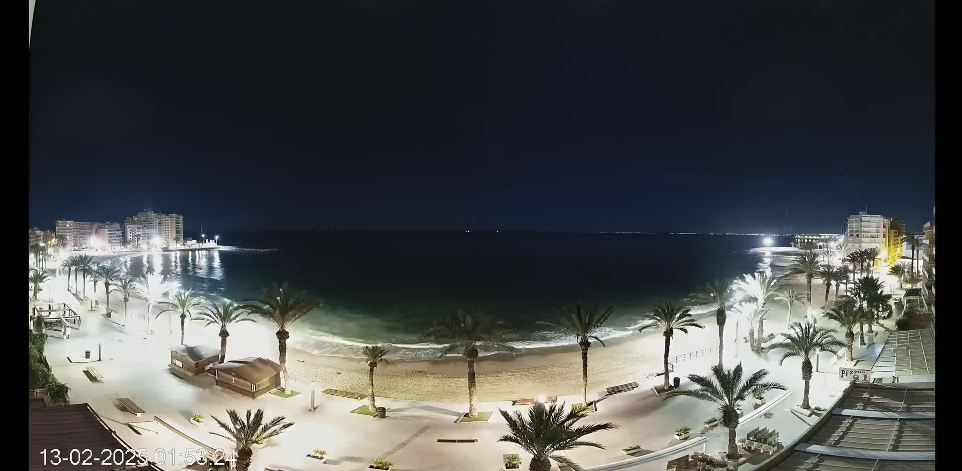 A nighttime view of a beach with palm trees lining a paved walkway, city lights illuminating the shoreline and buildings in the distance under a clear, dark sky.