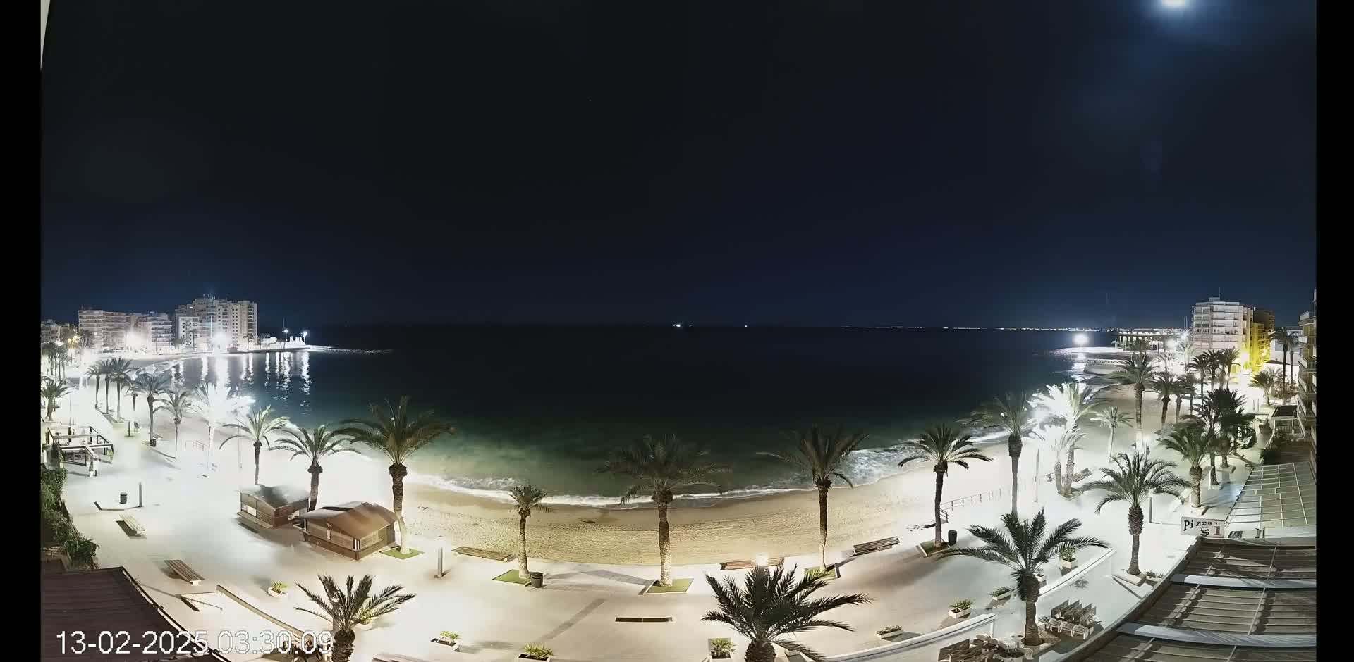 A moonlit nighttime view of a beach with palm trees lining a paved walkway, buildings in the background, and calm ocean waves.