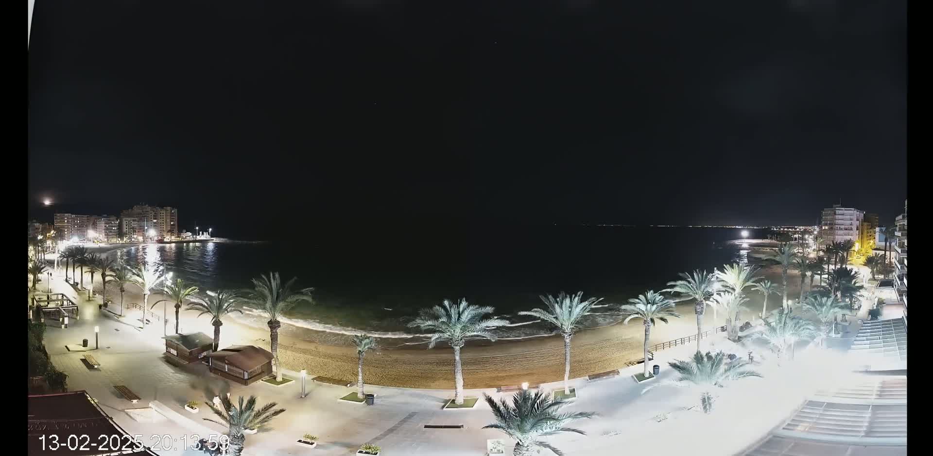 A nighttime, overhead view of a beach at low tide, lined with palm trees and buildings, under a clear, dark sky.