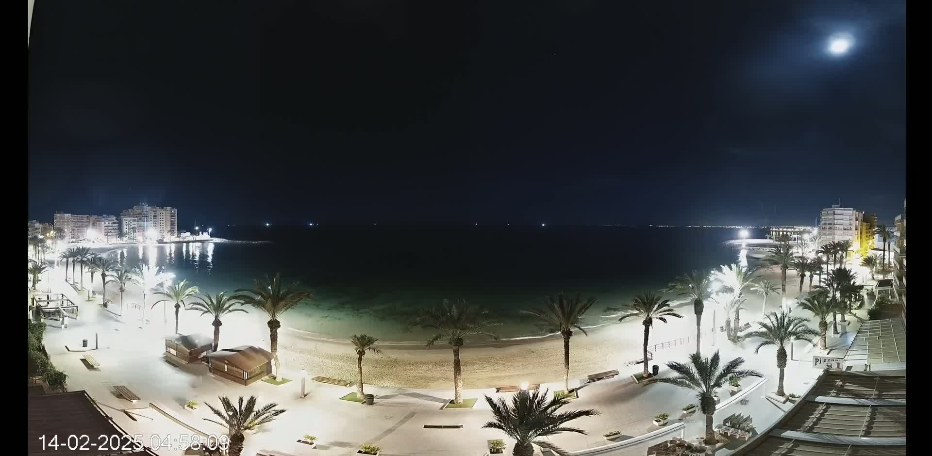 A nighttime beach scene shows a calm body of water under a bright moon, palm trees lining a sandy shore, and buildings illuminated in the distance.