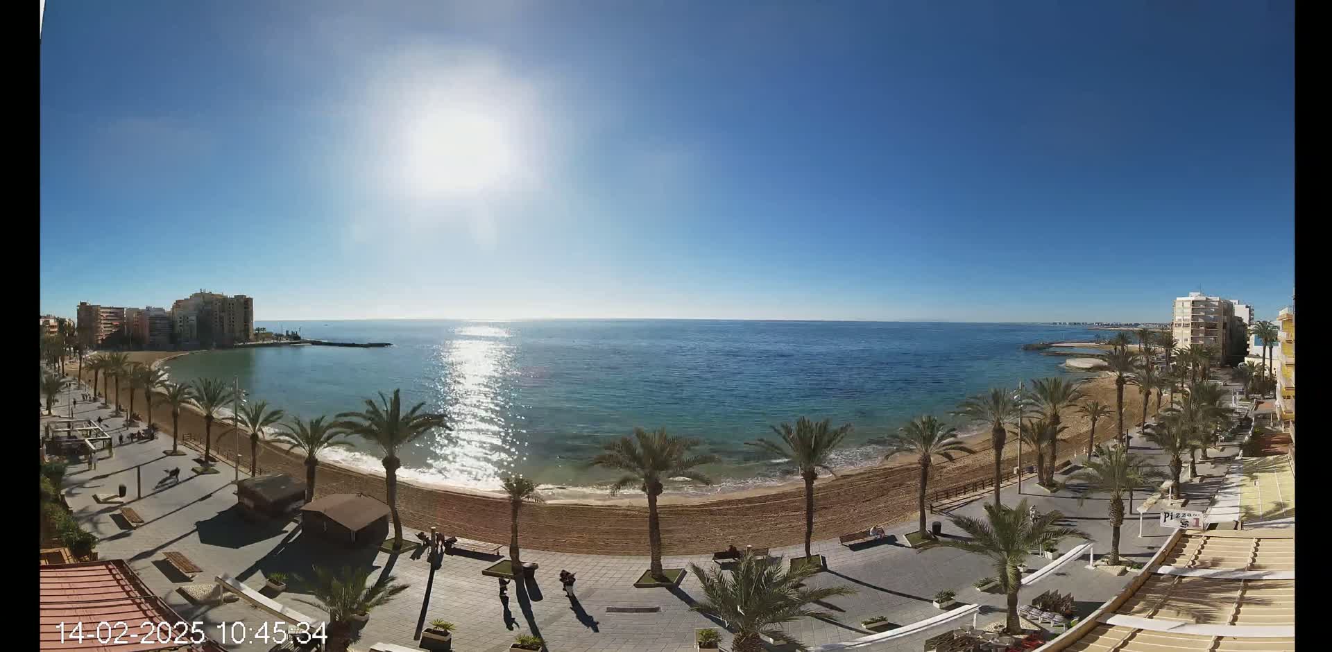 A sunny day at a beach with palm trees lining a paved walkway beside a sandy shore and buildings in the distance.