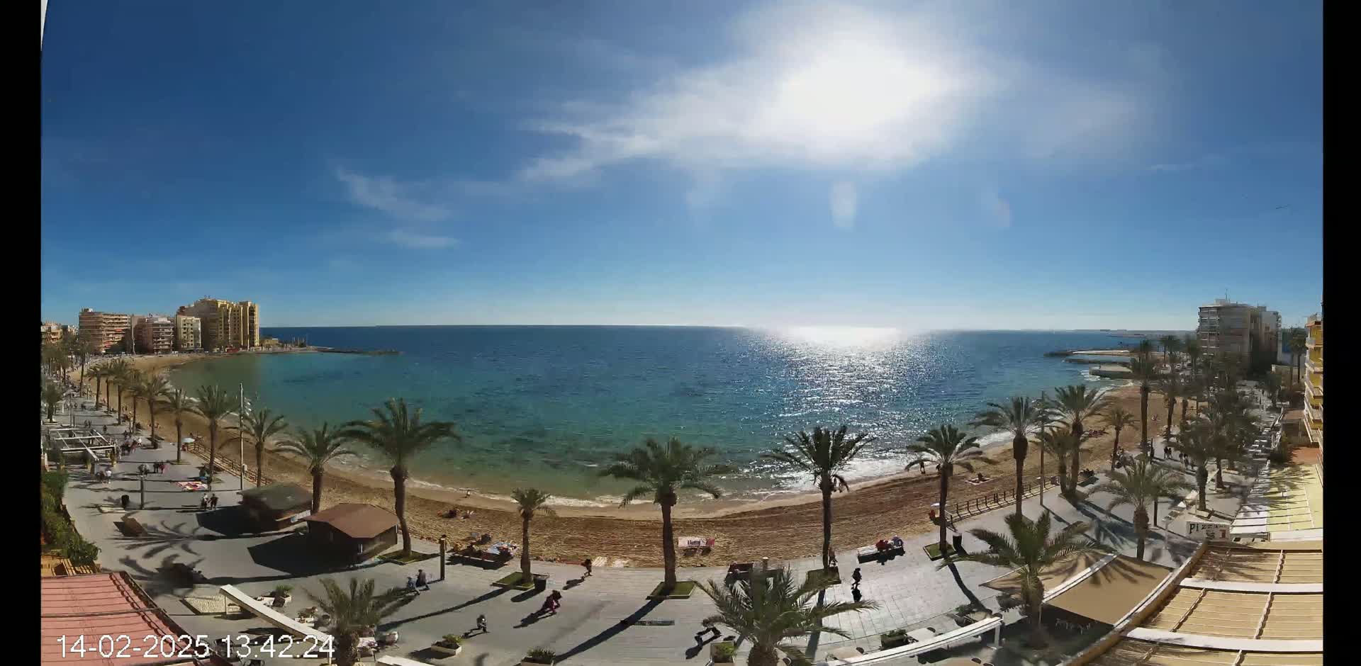 A sunny day at a sandy beach, lined with palm trees and buildings, shows a calm ocean reflecting sunlight.