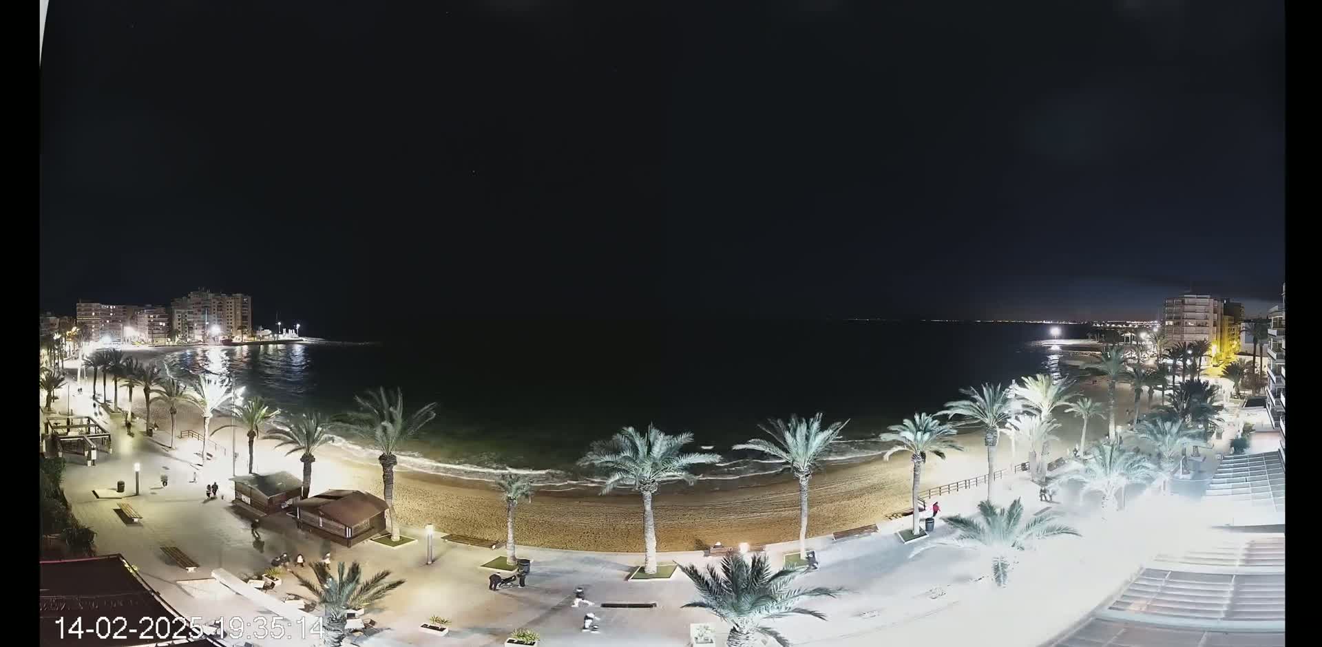 A nighttime, aerial view shows a beach with palm trees lining a paved walkway, buildings in the background, and gentle waves lapping the shore under a clear, dark sky.