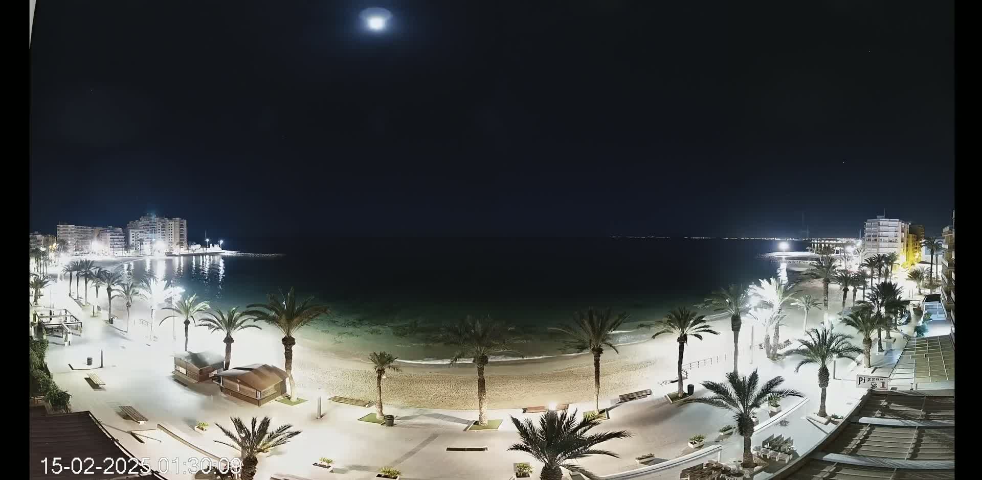 A moonlit beach at night, lined with palm trees and buildings, is visible from an elevated viewpoint.