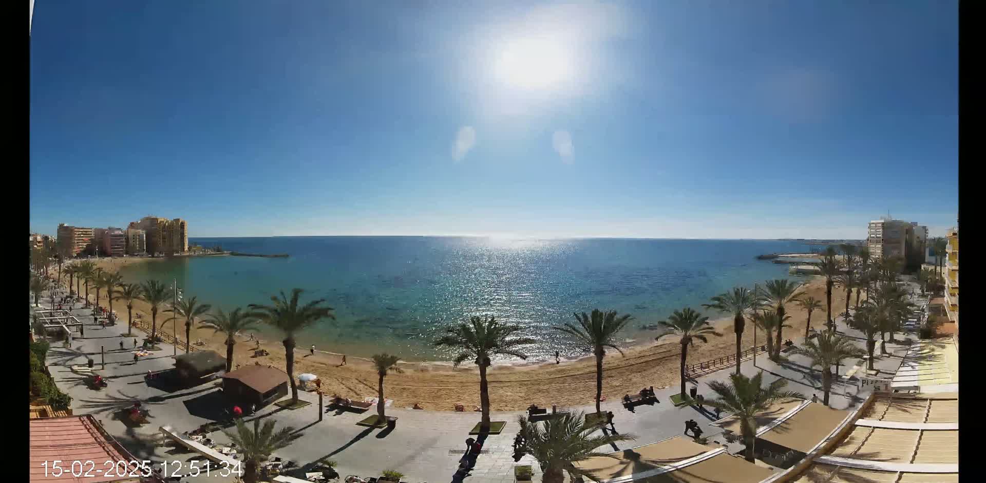 A sunny day at a beachside promenade shows palm trees lining a sandy beach with calm, clear water and buildings in the background.