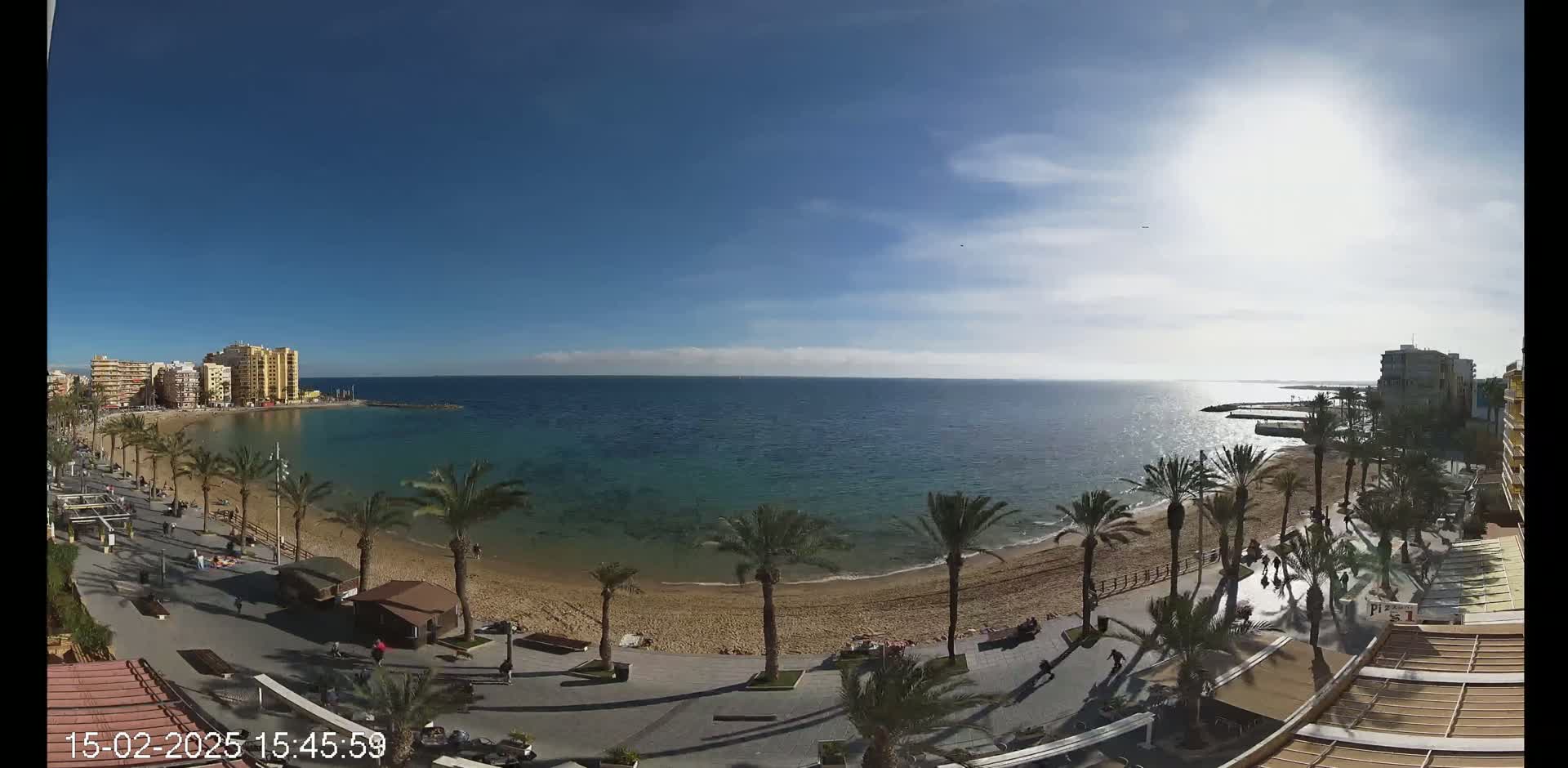 A sunny day shows a beach with palm trees lining a boardwalk next to a calm, blue ocean and buildings in the distance.
