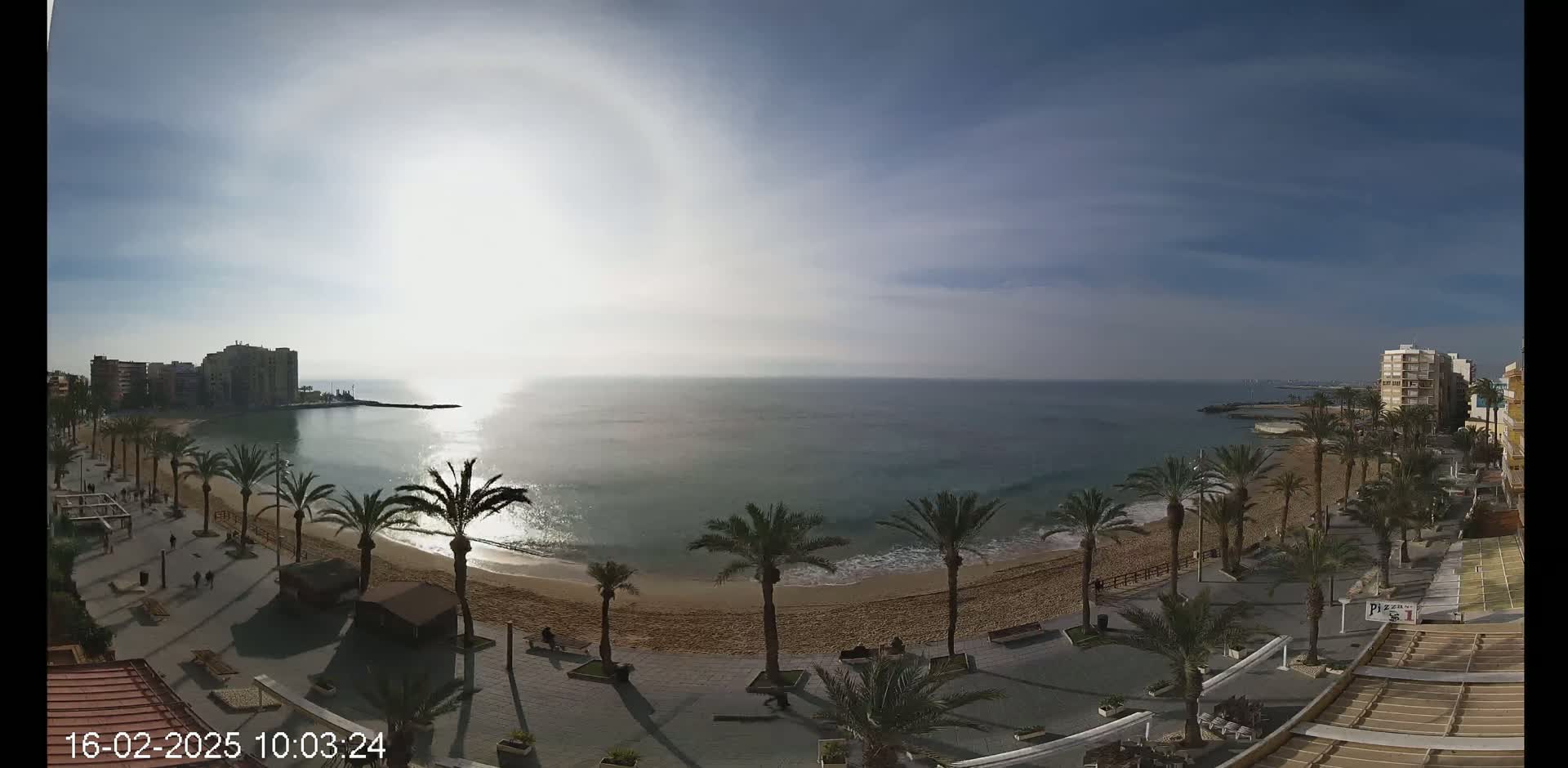 A sunny day shows a beach with palm trees lining a paved walkway, buildings in the distance, and calm ocean water.