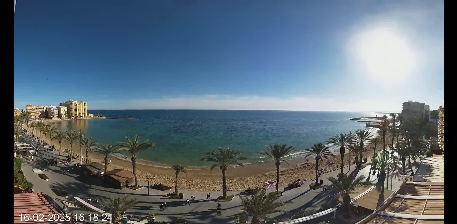 A sunny day reveals a beach with palm trees lining a promenade next to a calm, teal ocean, and buildings visible in the distance.