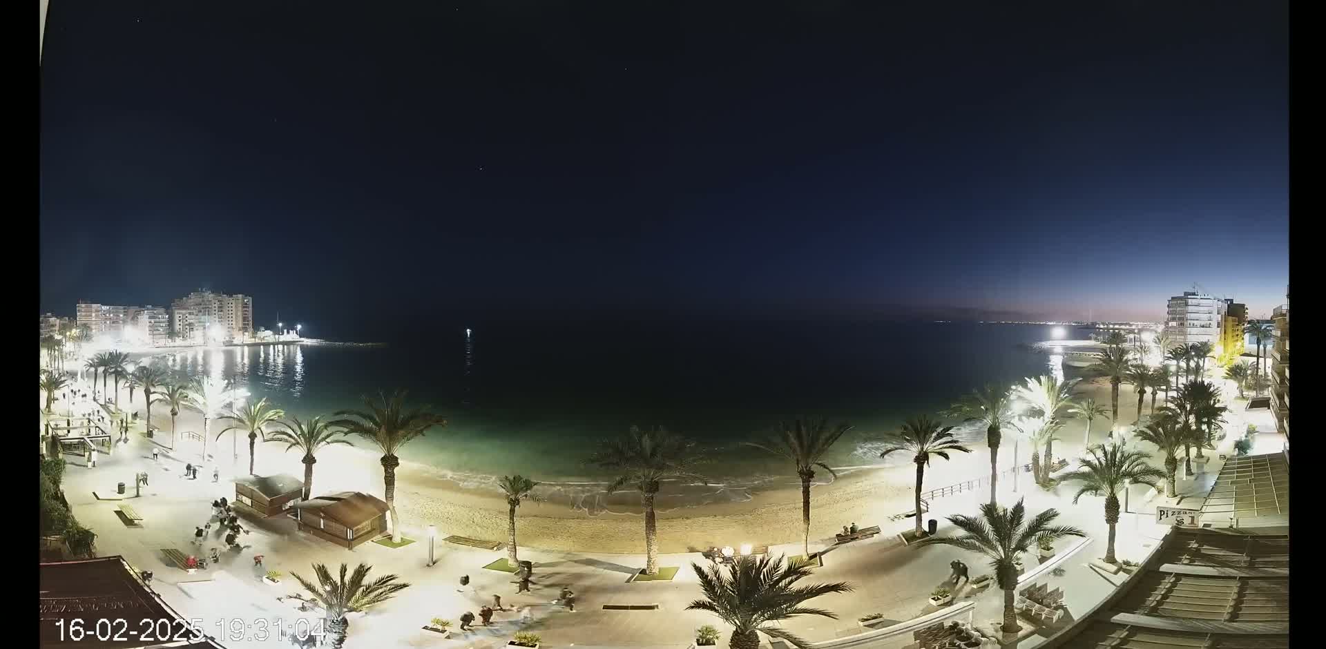 A nighttime view of a beach with palm trees lining a paved walkway, buildings in the distance, and calm water under a dark, clear sky.
