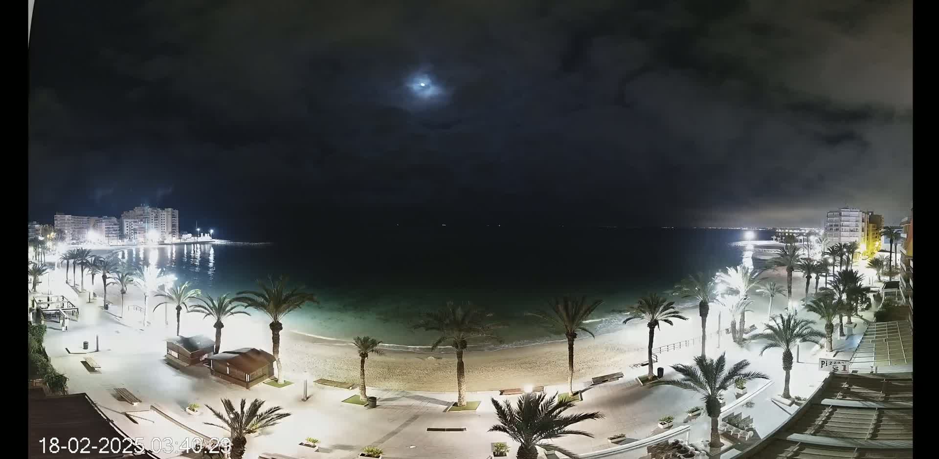 A moonlit night scene shows a beach with palm trees lining a promenade, buildings in the distance, and calm ocean waters.