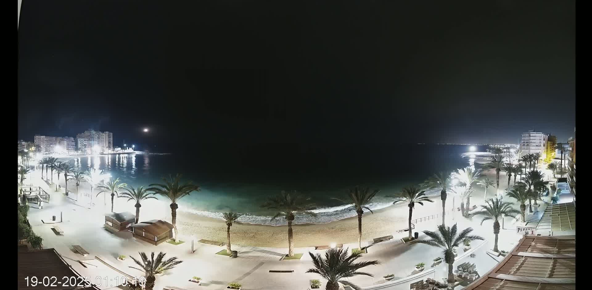 A nighttime view of a beach with palm trees lining a paved walkway, buildings visible in the distance, and gentle waves lapping the shore under a clear, dark sky.
