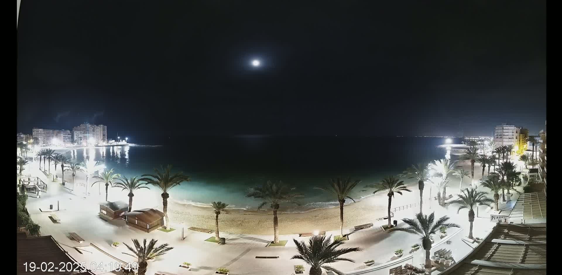 A moonlit nighttime view of a beach with palm trees lining a paved walkway, buildings visible in the distance, and calm water.