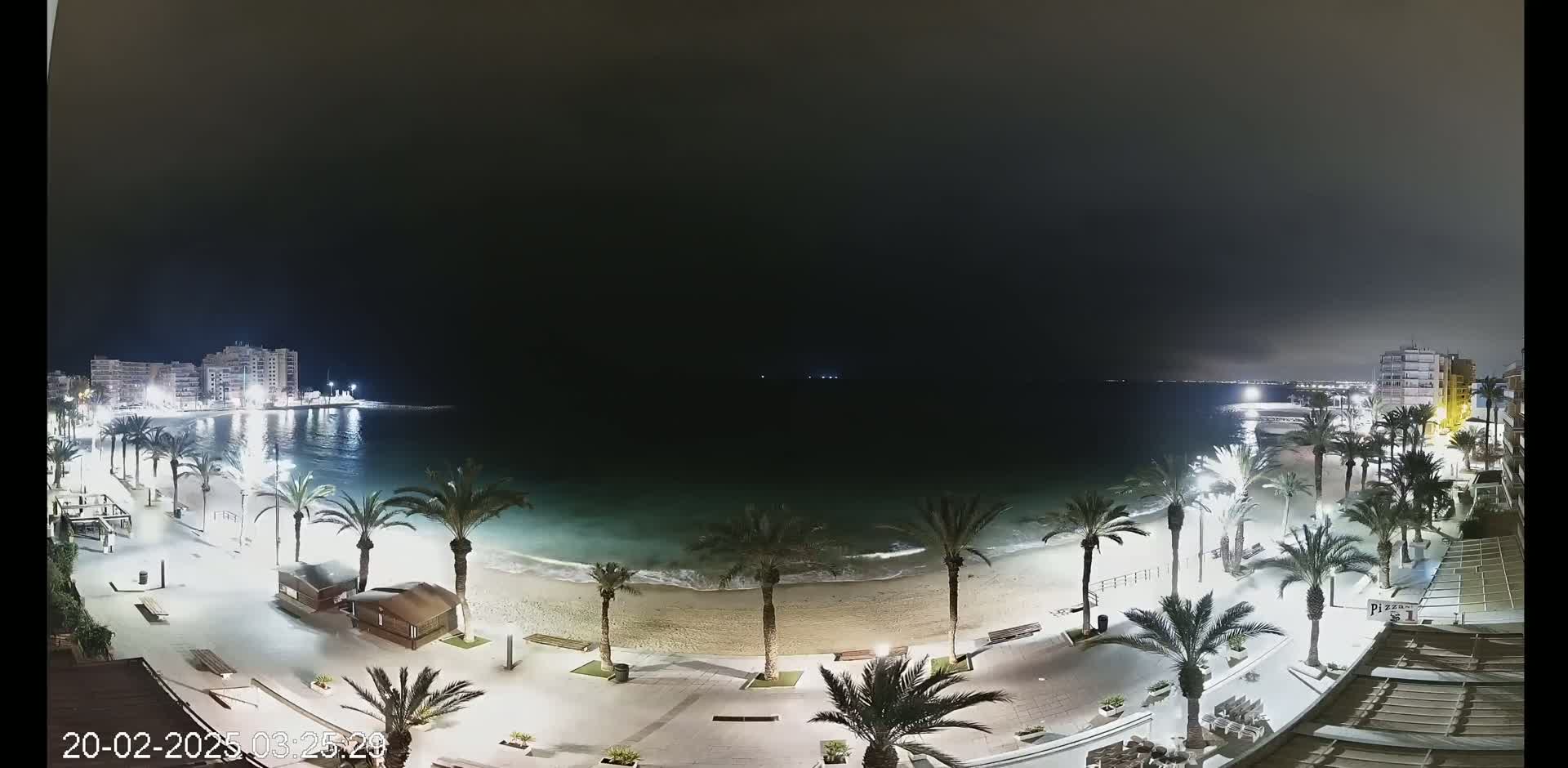 A nighttime view of a beach with palm trees lining a paved walkway, illuminated buildings across the water, and gentle waves lapping the shore under a dark sky.