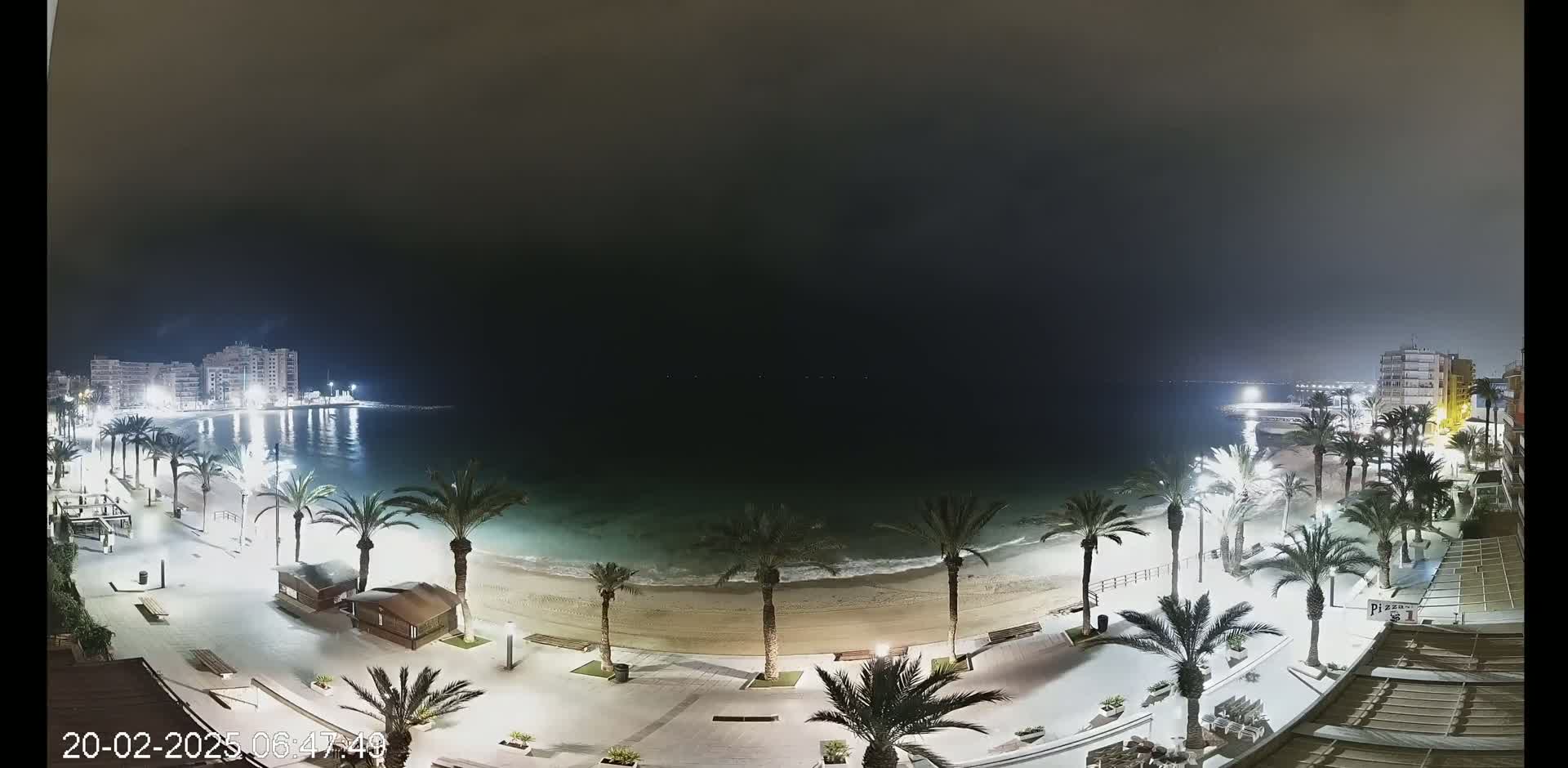 A nighttime view of a beach with palm trees lining the shore, illuminated buildings in the distance, and calm water under a dark sky.