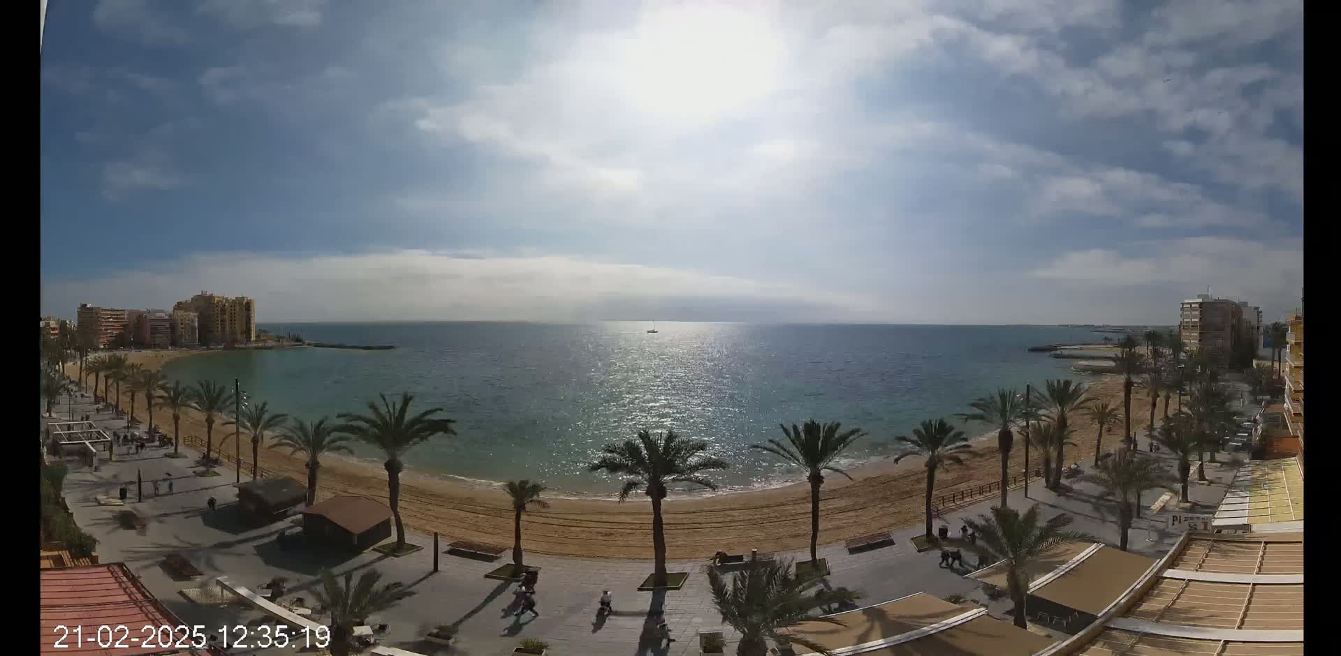 A sunny day at a beach with palm trees lining a paved walkway, buildings in the background, and a calm sea stretching to the horizon.
