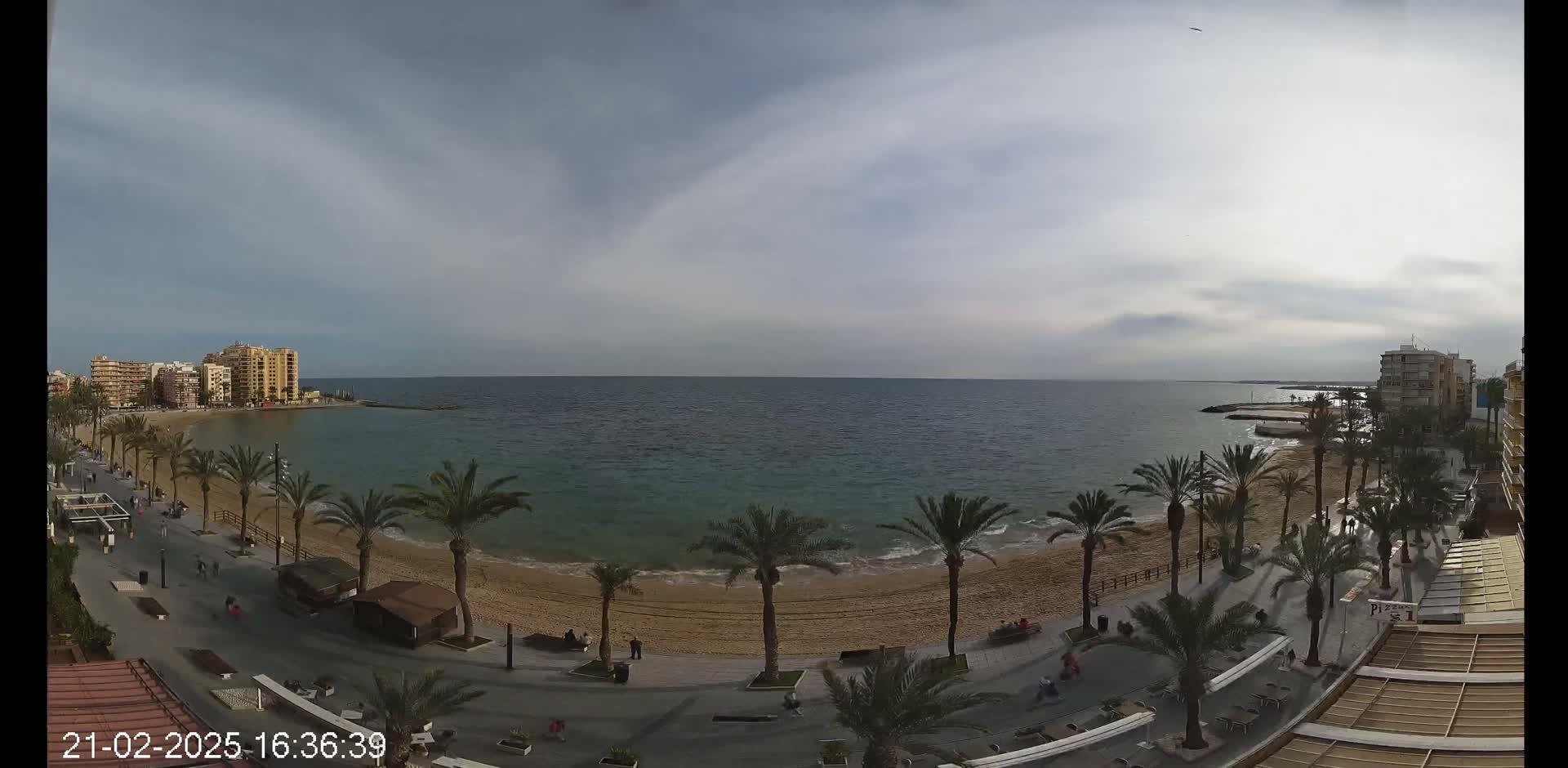 A sandy beach lined with palm trees and buildings is visible, overlooking a calm sea under a mostly cloudy sky.