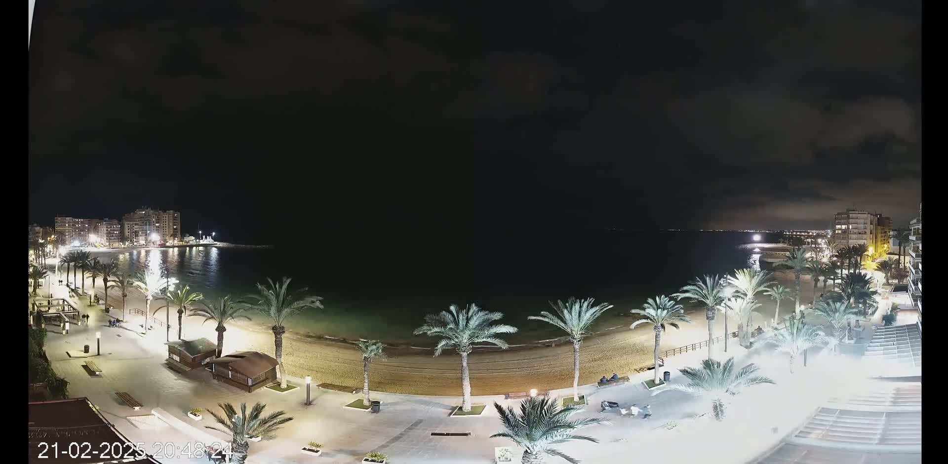 A nighttime, overhead view of a beach with palm trees lining a paved walkway, buildings in the background, and a calm body of water under a dark, cloudy sky.