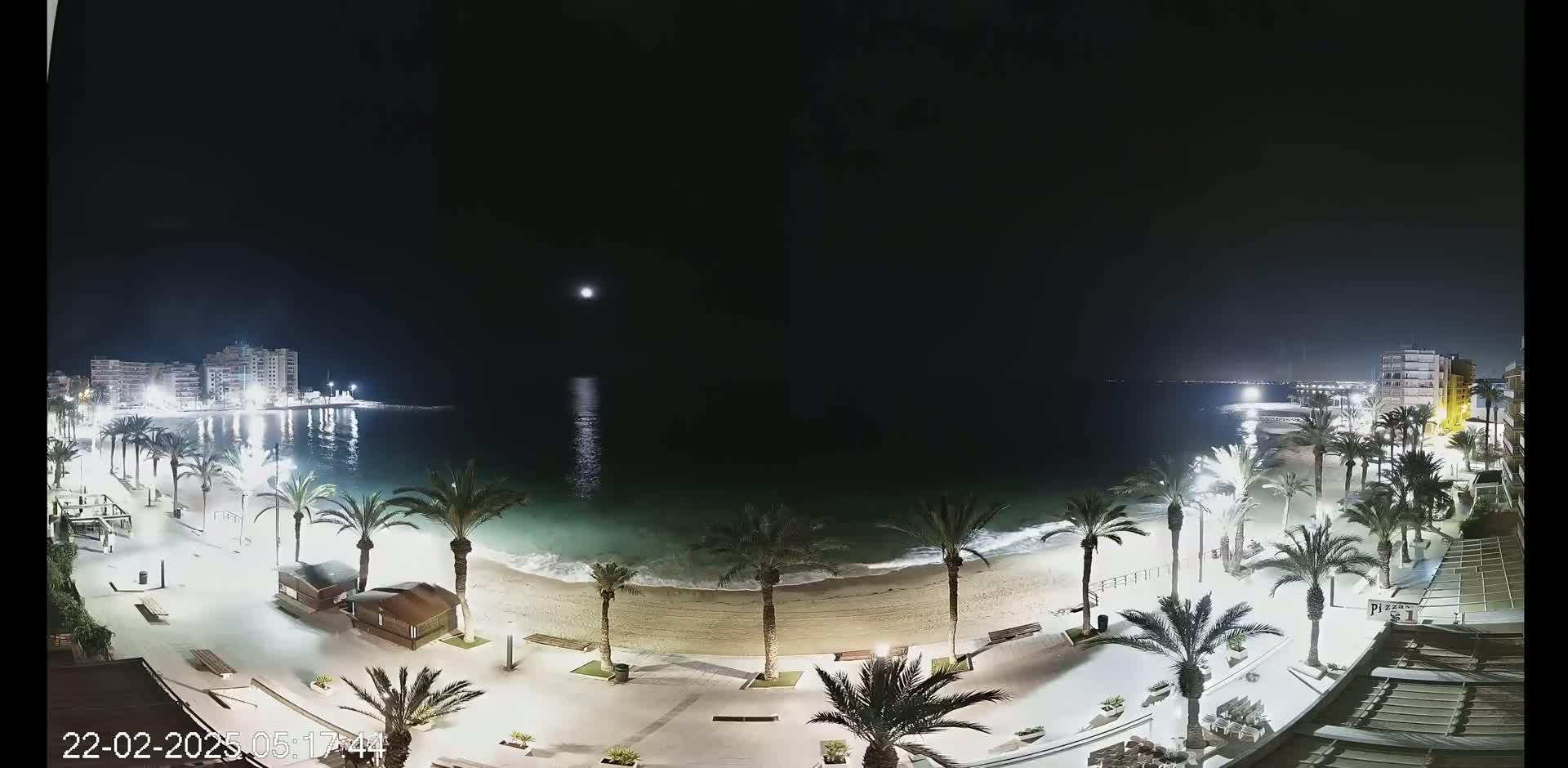 A moonlit nighttime view of a beach with palm trees lining a paved walkway, buildings in the background, and gentle waves lapping the shore.