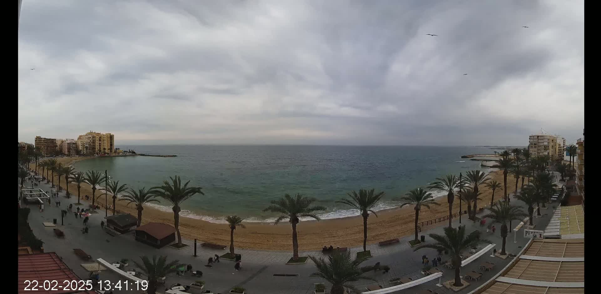 A sandy beach lined with palm trees and buildings is visible under an overcast sky, with a calm sea in the background.
