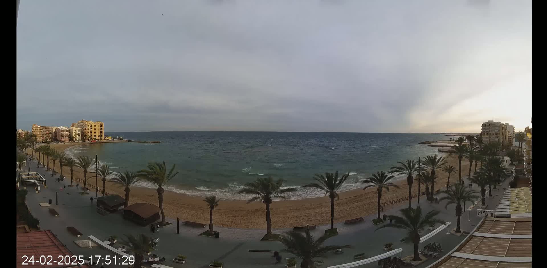 A sandy beach lined with palm trees and buildings stretches along a calm, somewhat overcast ocean.