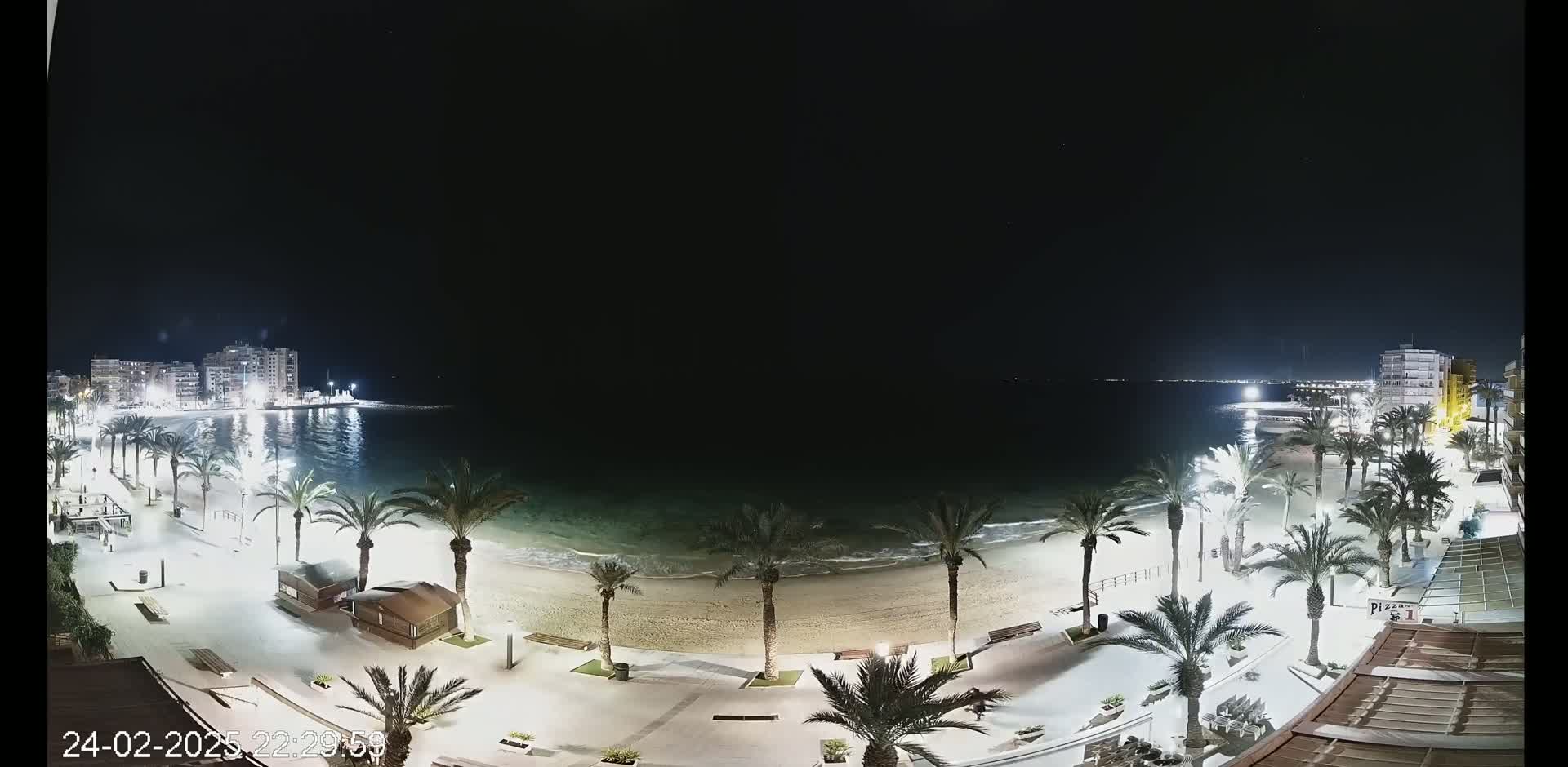 A nighttime view of a beach with palm trees lining a paved walkway, buildings visible in the distance, and calm ocean waves lapping the shore.